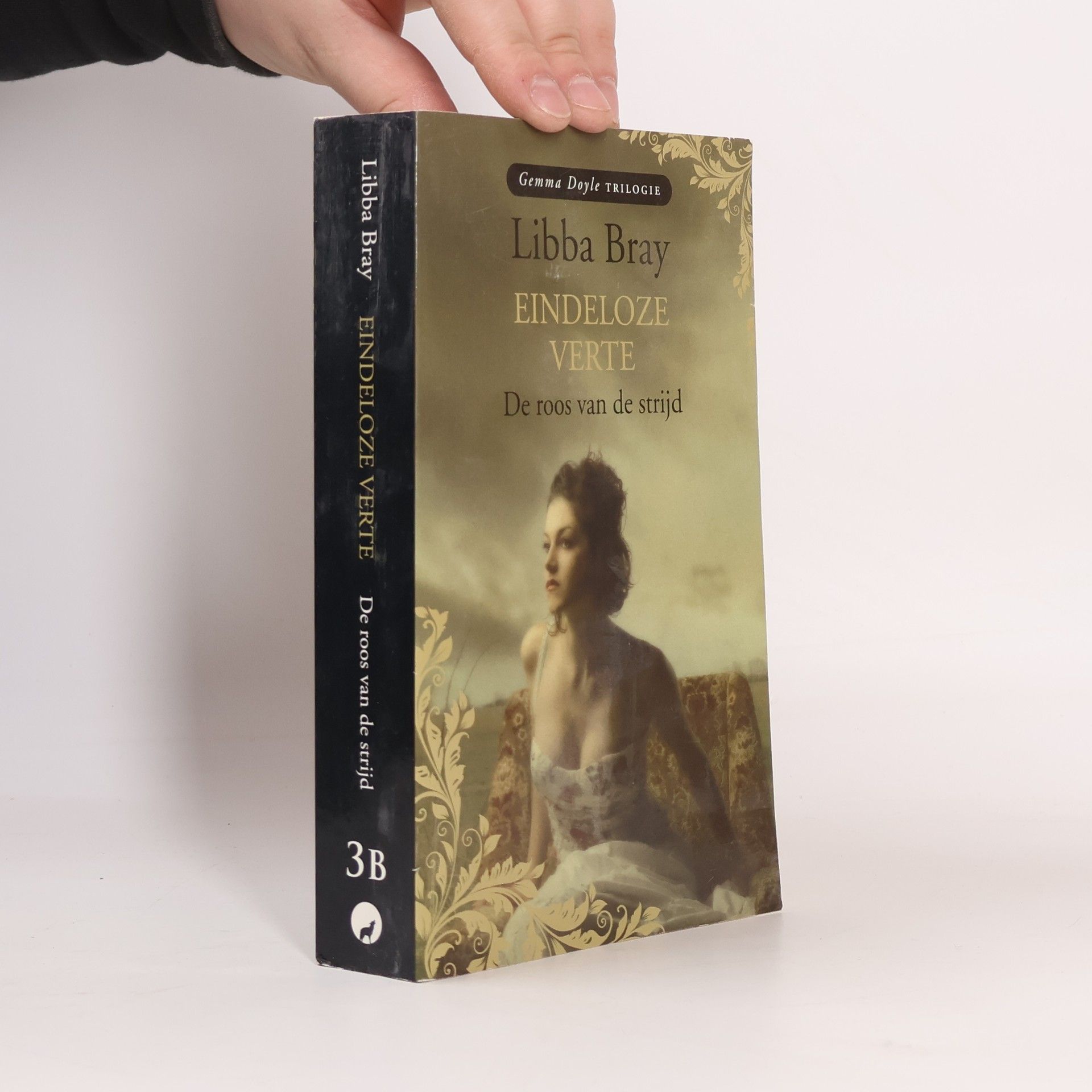 Libba Bray Eindeloze verte