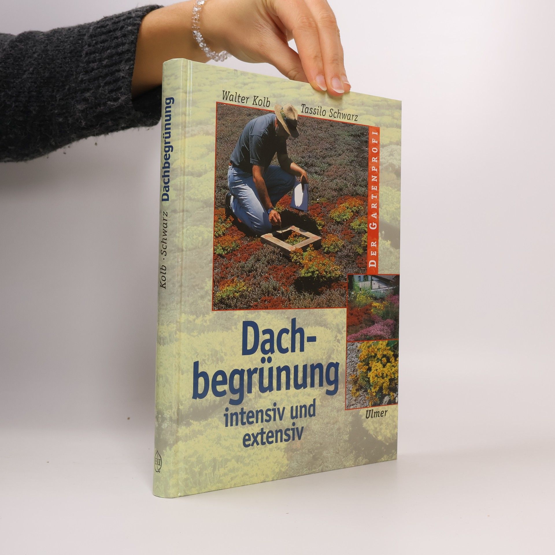 Walter Kolb Dachbegrünung