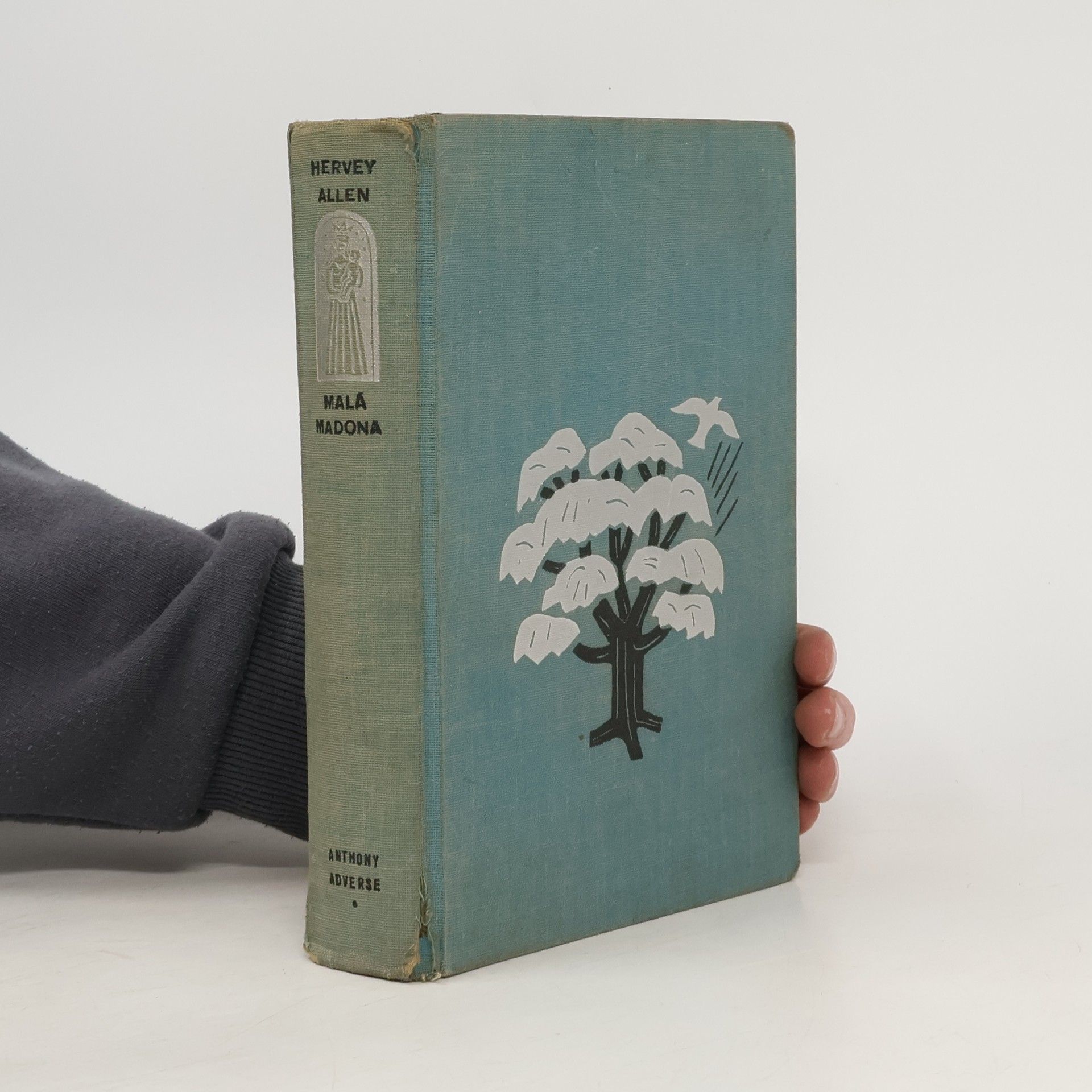 Hervey Allen Malá Madona