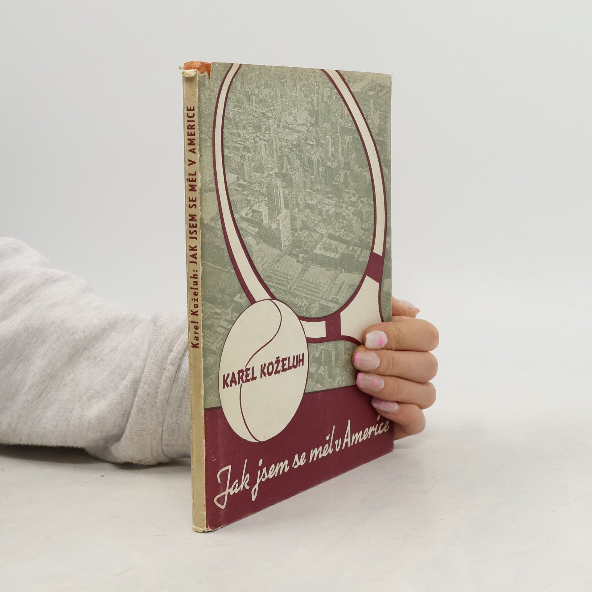 Jak jsem se měl v Americe