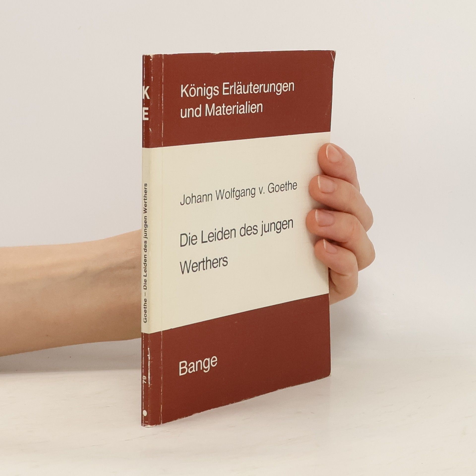 Eva Brinckschulte Erläuterungen zu Johann Wolfgang v. Goethe, Die Leiden des jungen Werthers