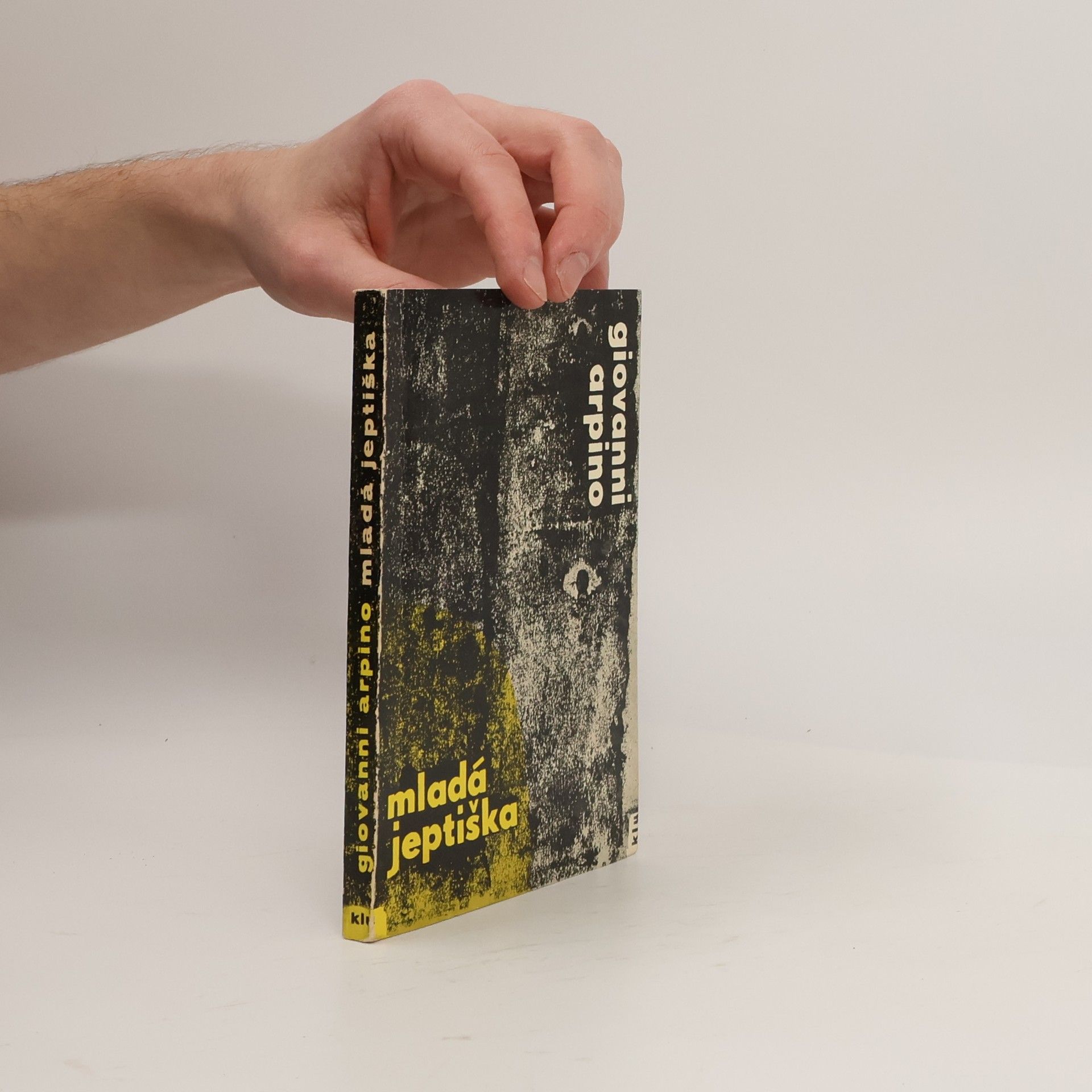 Giovanni Arpino Mladá jeptiška