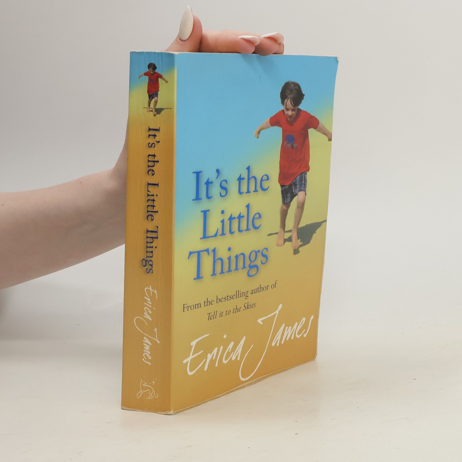 Erica James It's The Little Things