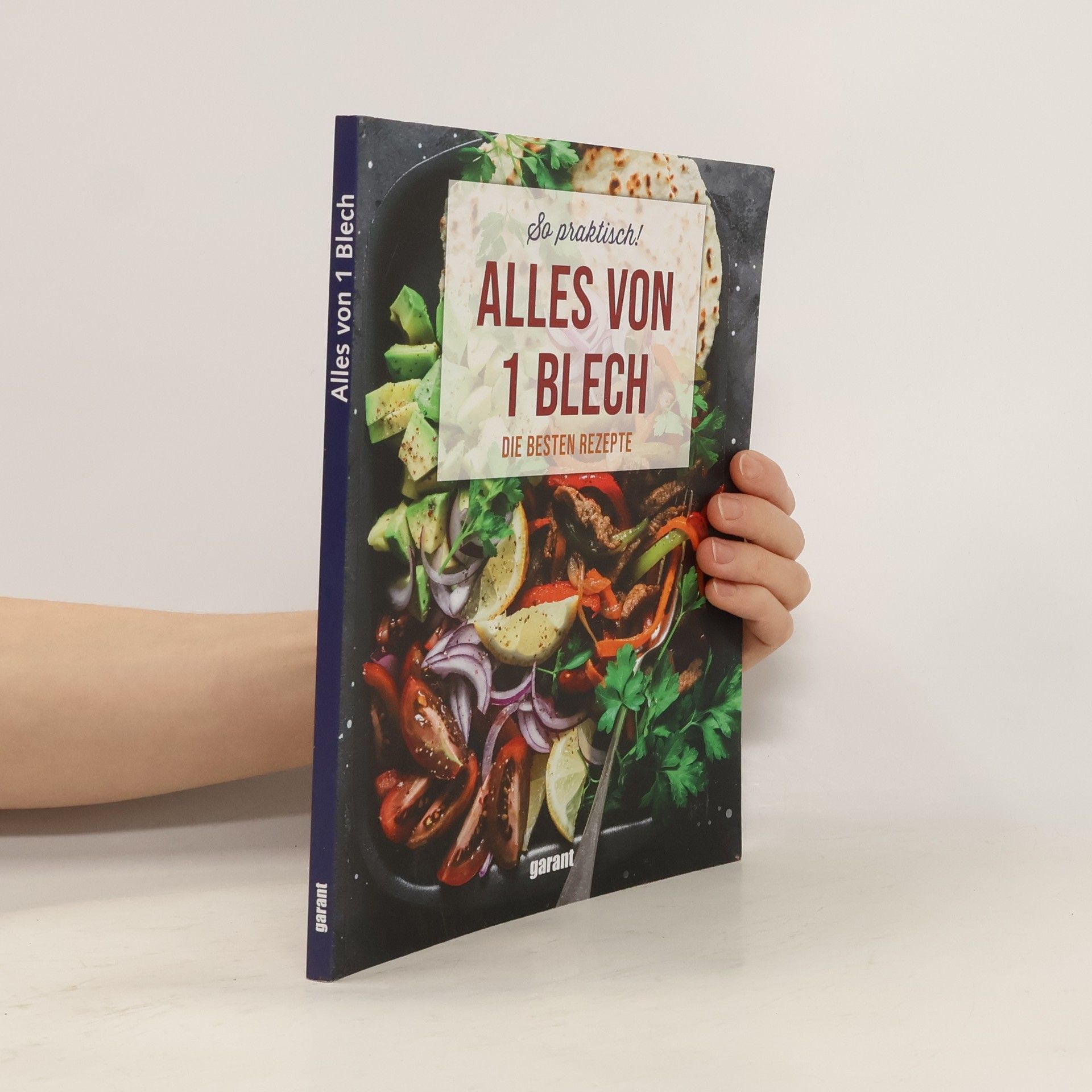 Collectif d'auteurs Alles von 1 Blech