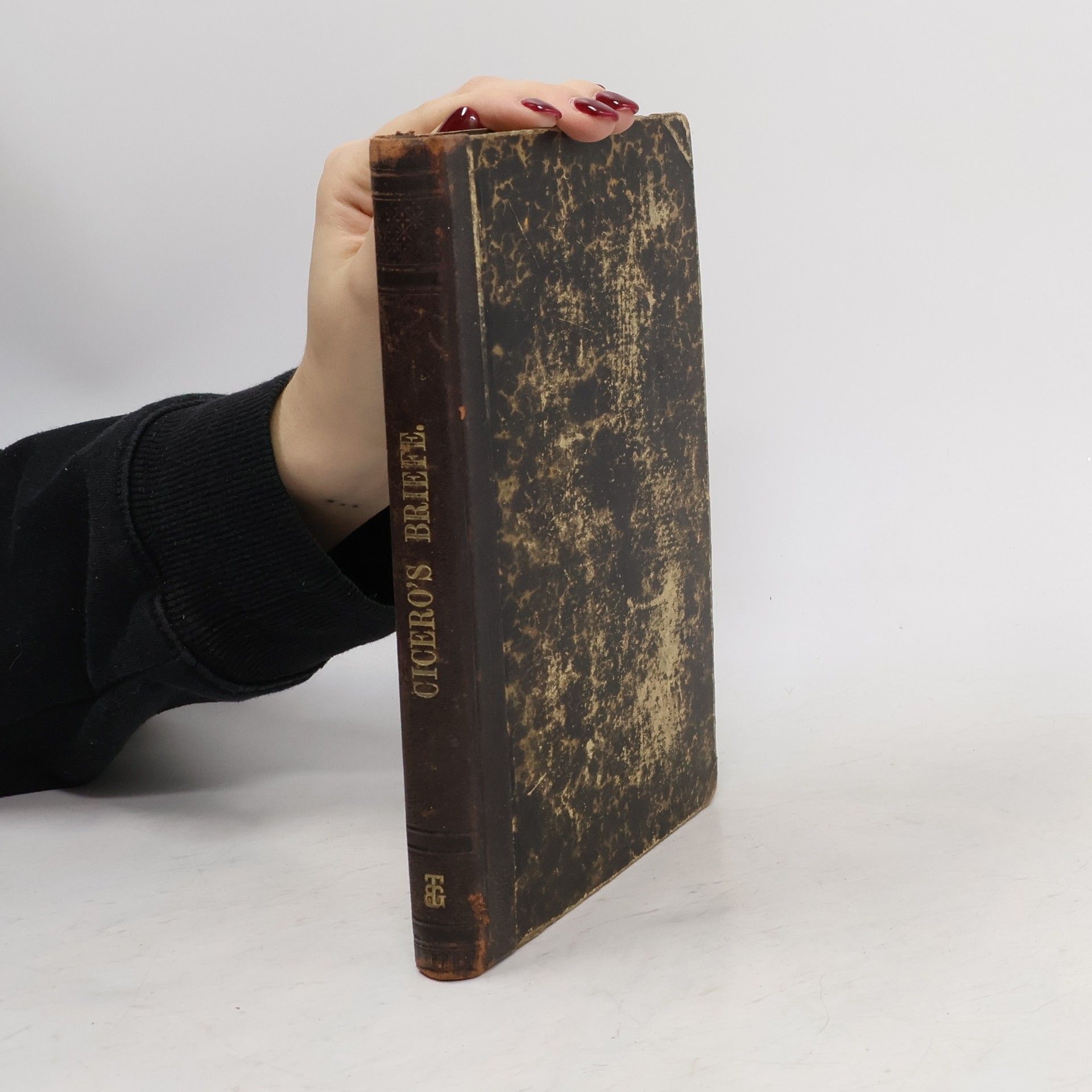 Josef Frey Ausgewählte Briefe Ciceros