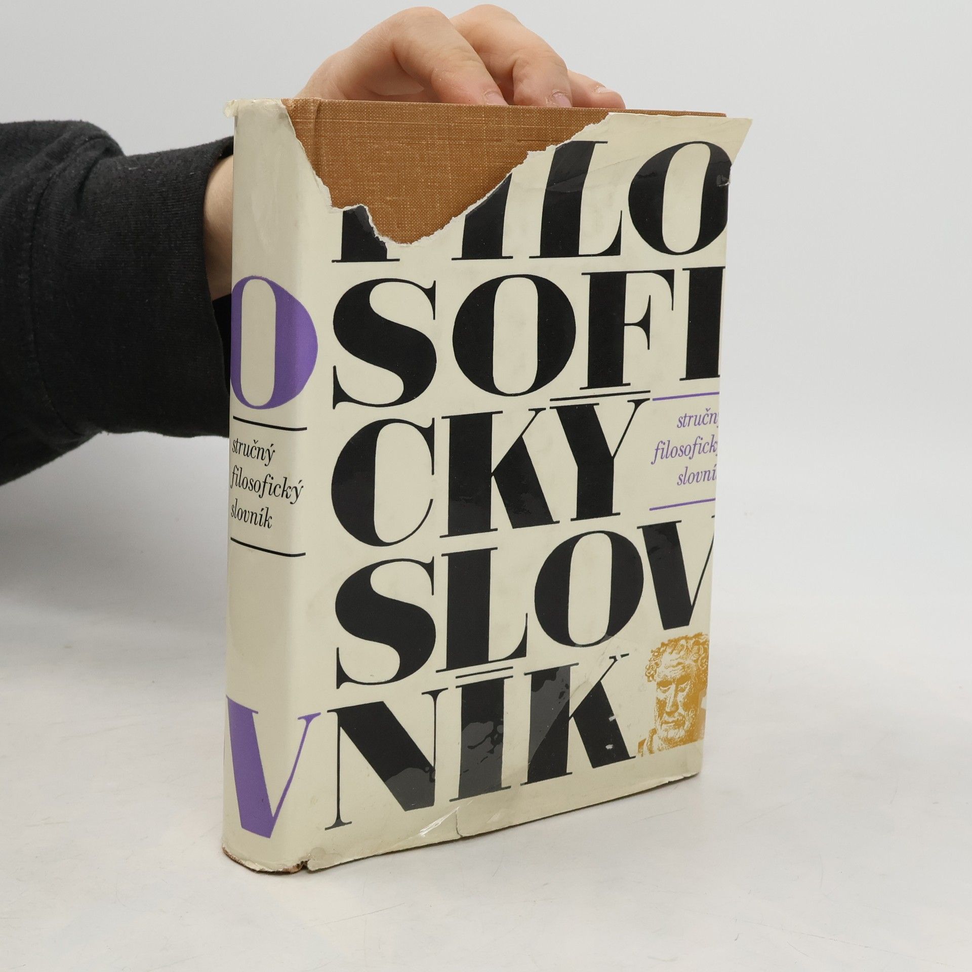 Autorenkollektiv Stručný filosofický slovník