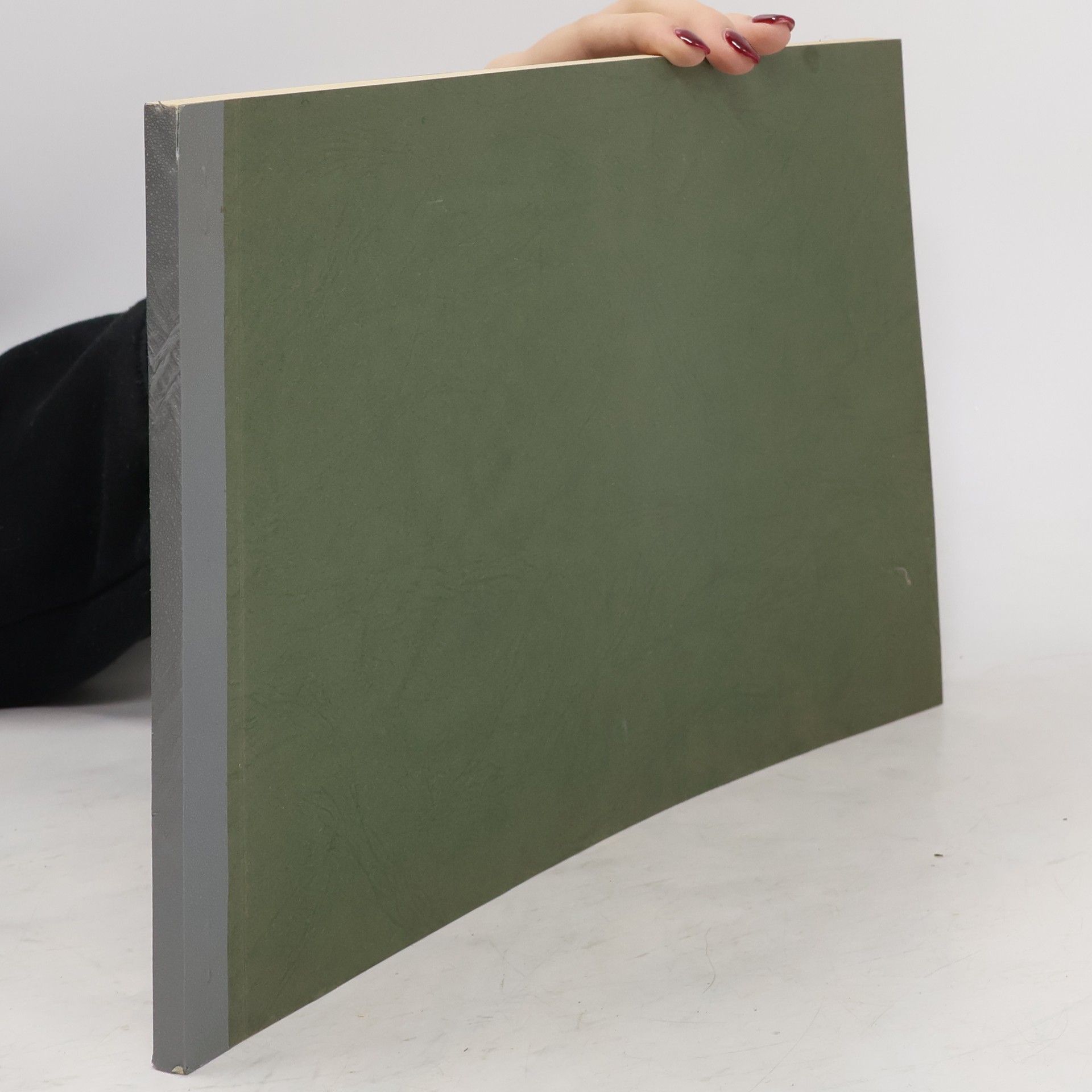 Collectif d'auteurs Drei mal Ferien für eine Sandgrube