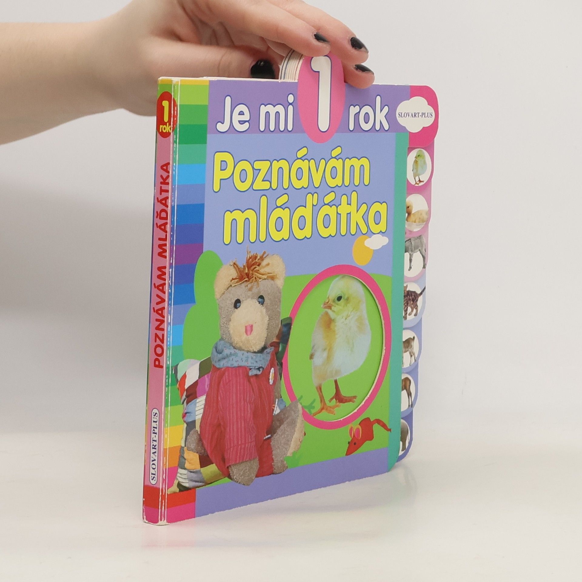 Kolektiv autorů Poznávám mláďátka