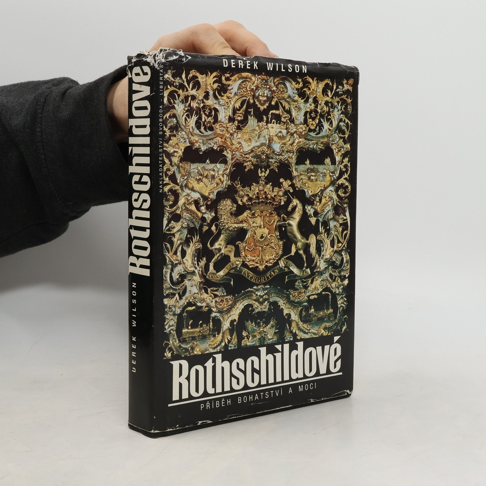 Derek Wilson Rothschildové. Příběh bohatství a moci