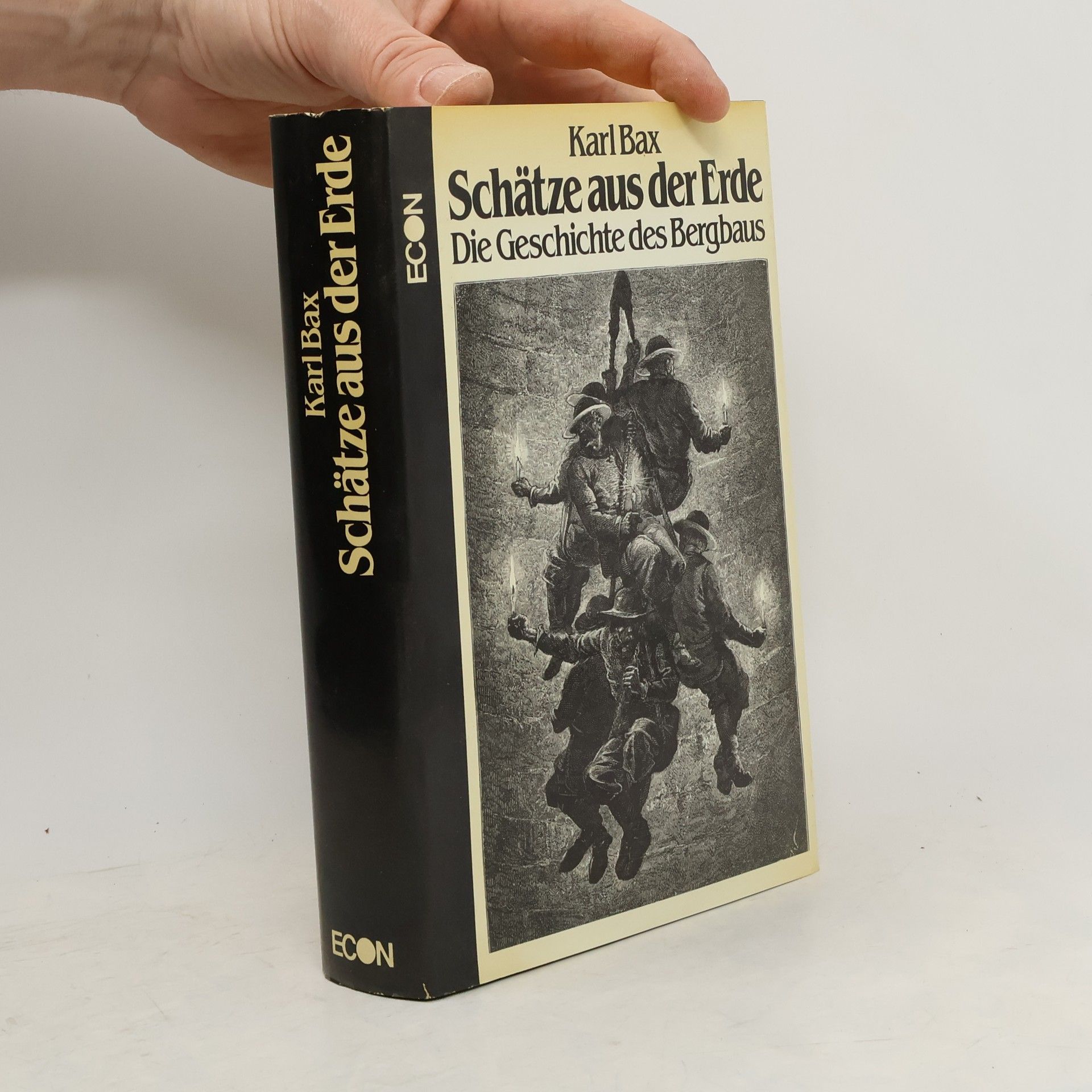 Karl Bax Schätze aus der Erde