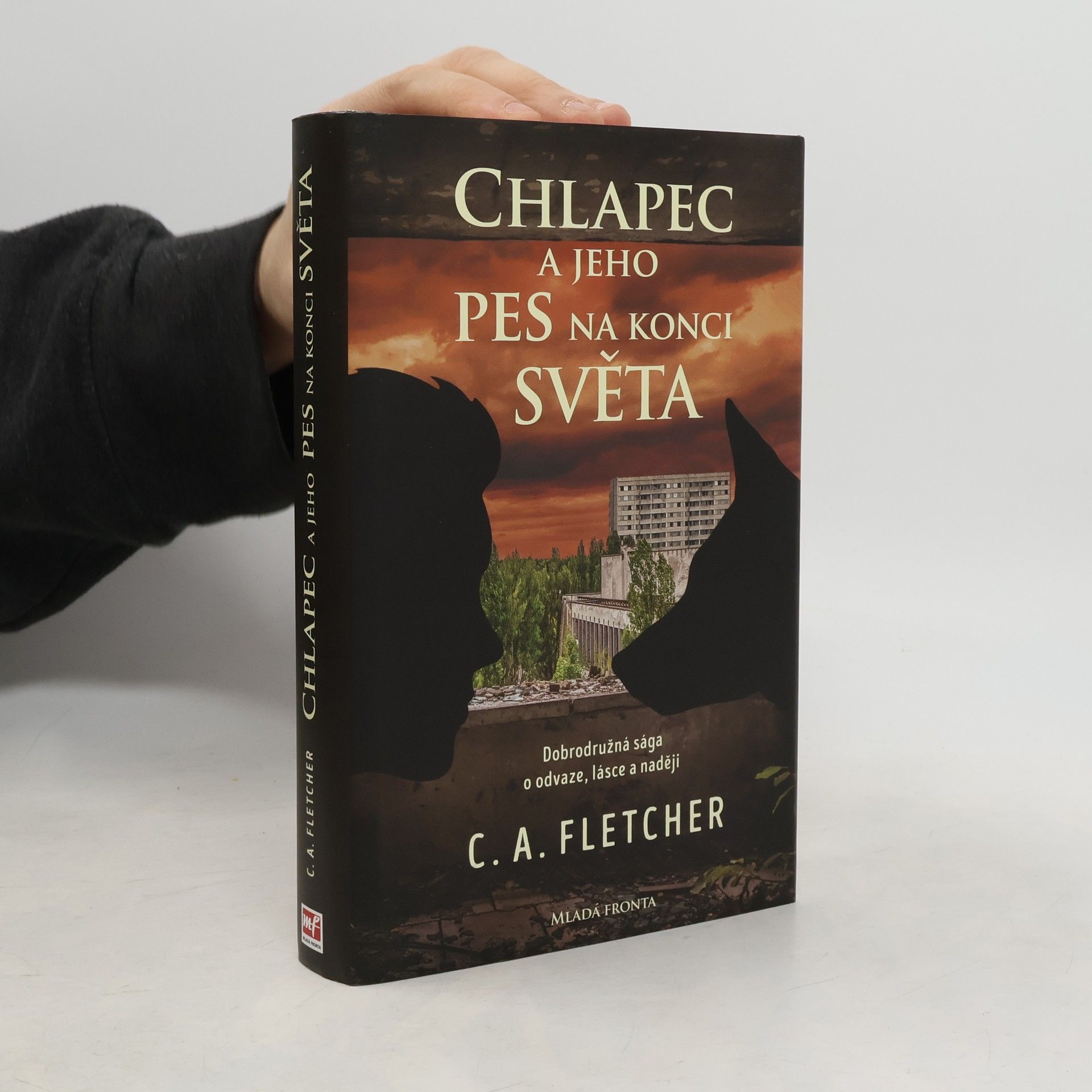 Charlie Fletcher Chlapec a jeho pes na konci světa