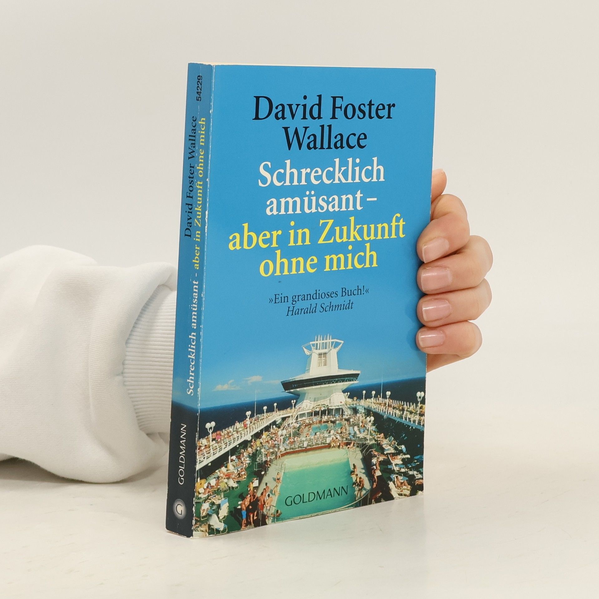 David Foster Wallace Schrecklich amüsant - aber in Zukunft ohne mich