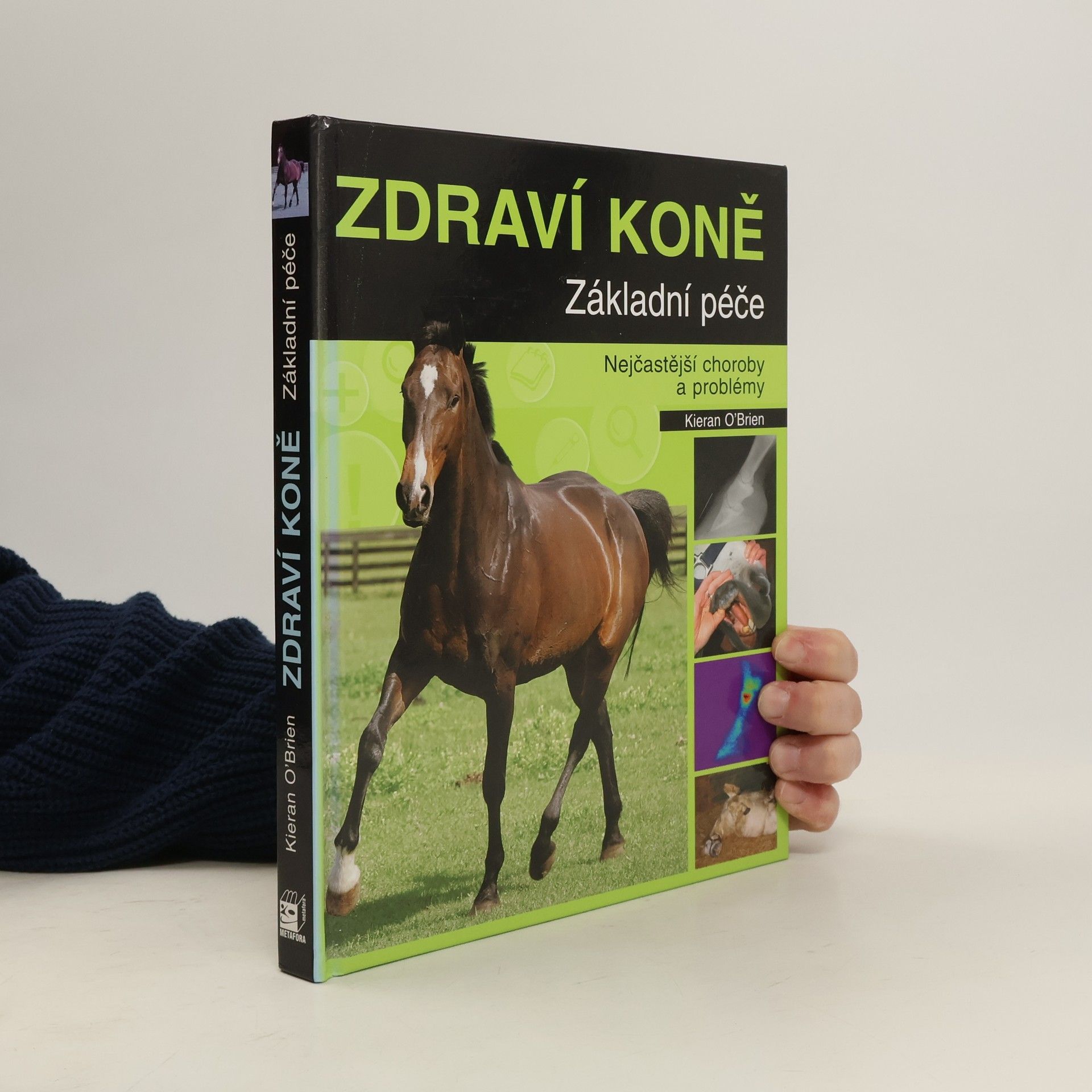 Kieran O. Brien Zdraví koně