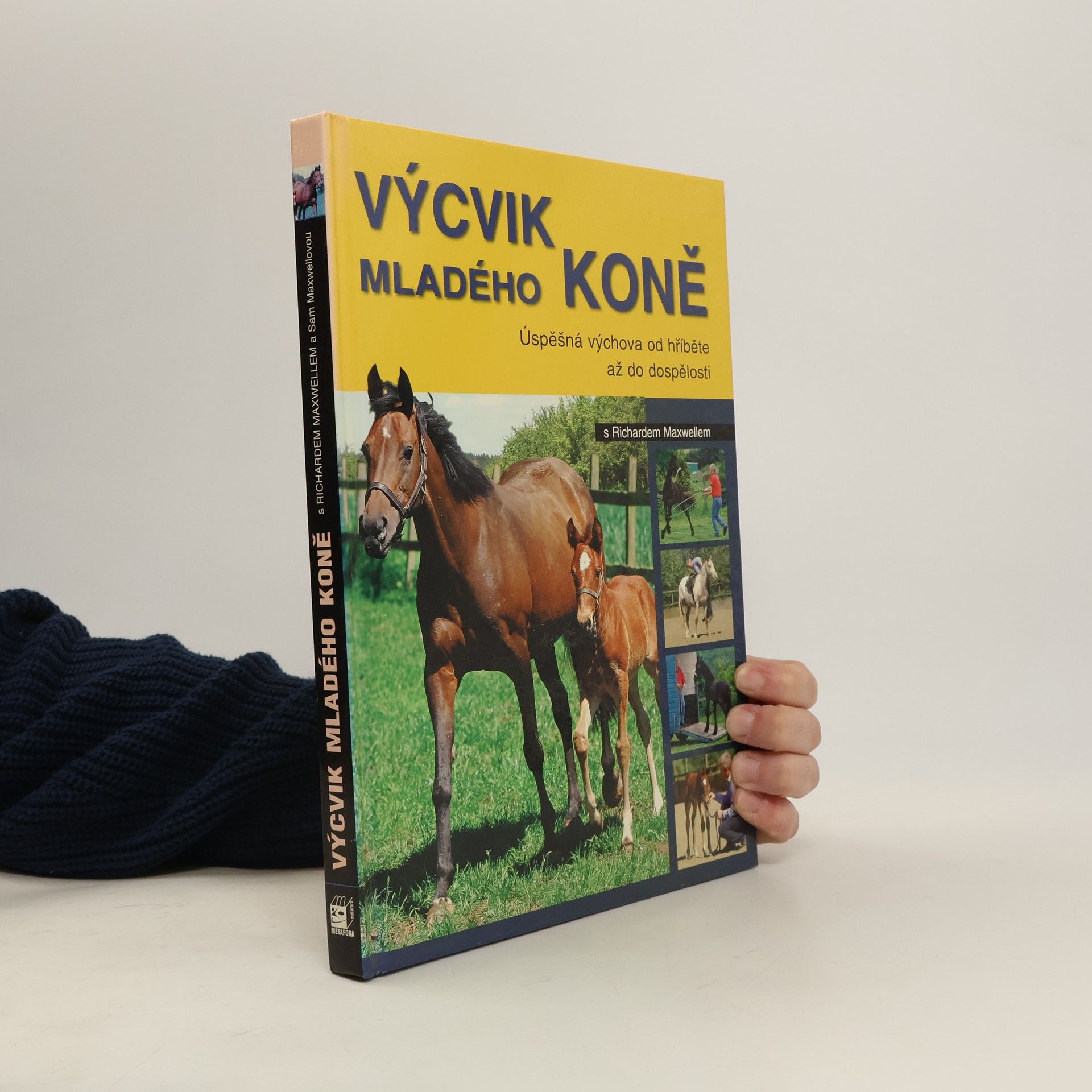 Richard Maxwell Výcvik mladého koně s Richardem Maxwellem