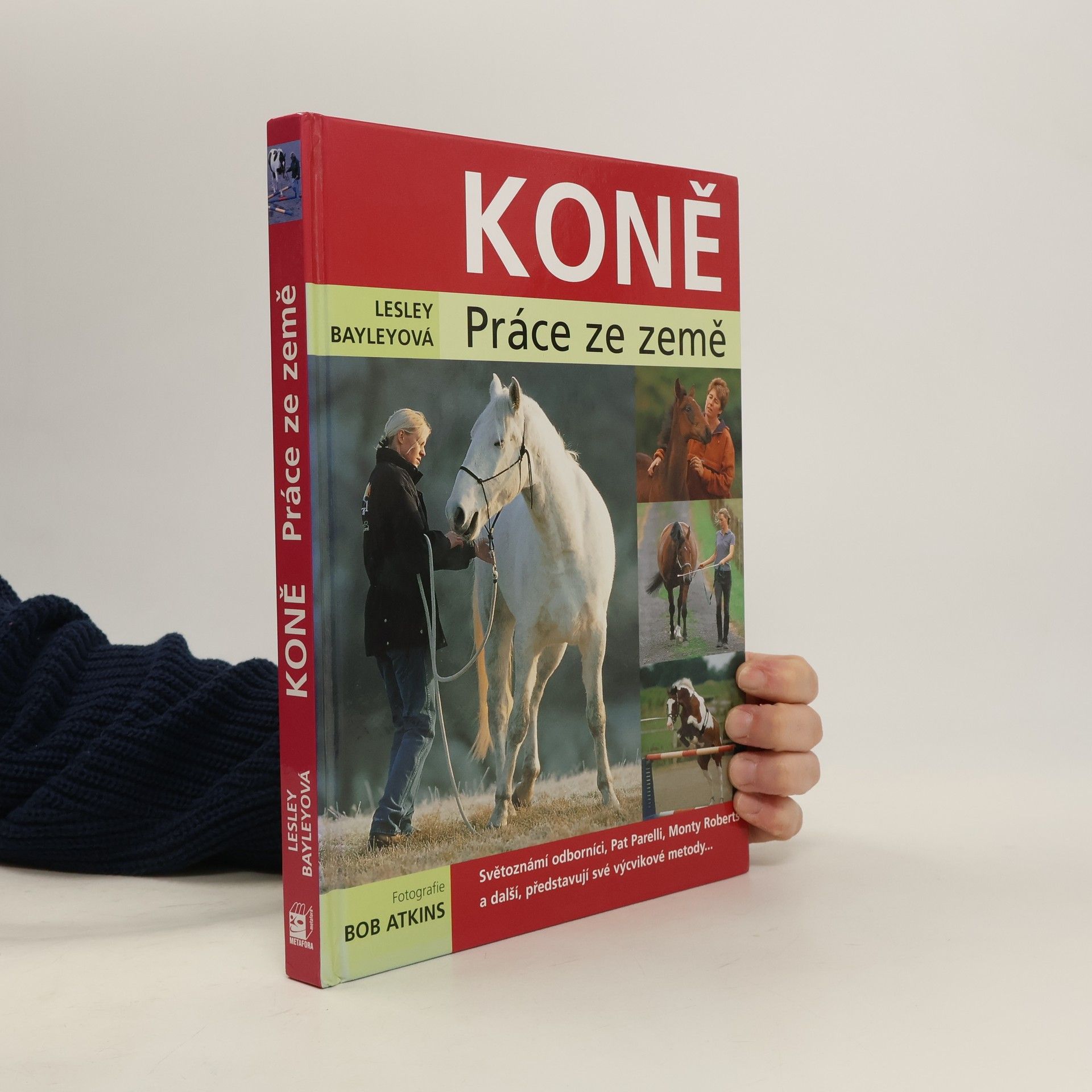 Lesley Bayley Koně. Práce ze země