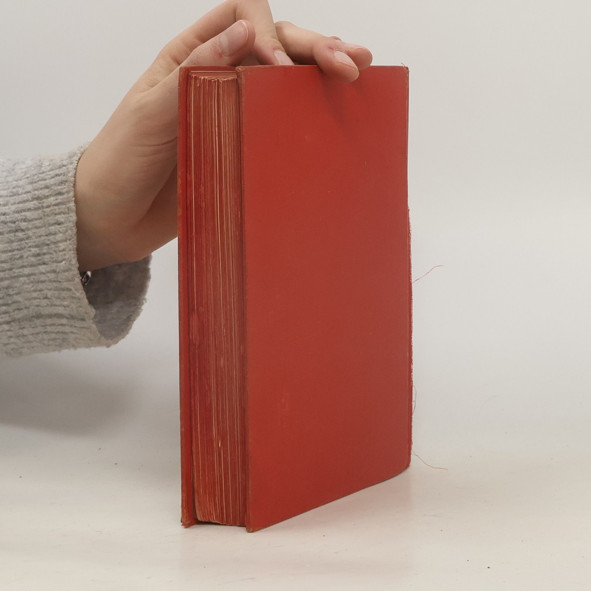 Victor Hugo Die Weltverlassenen
