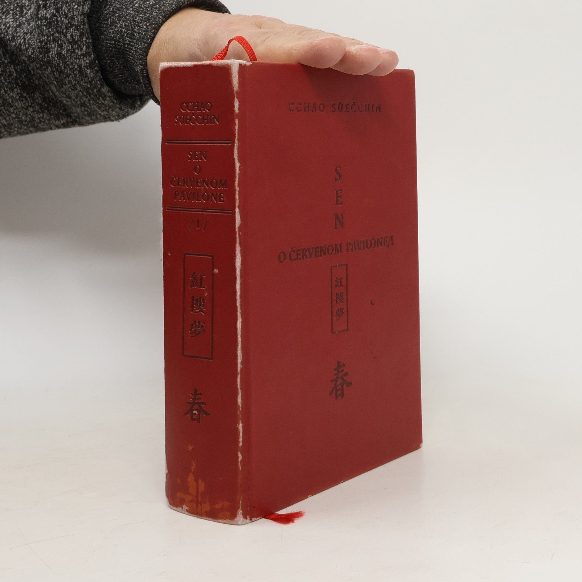 Sen o Červenom pavilóne I.