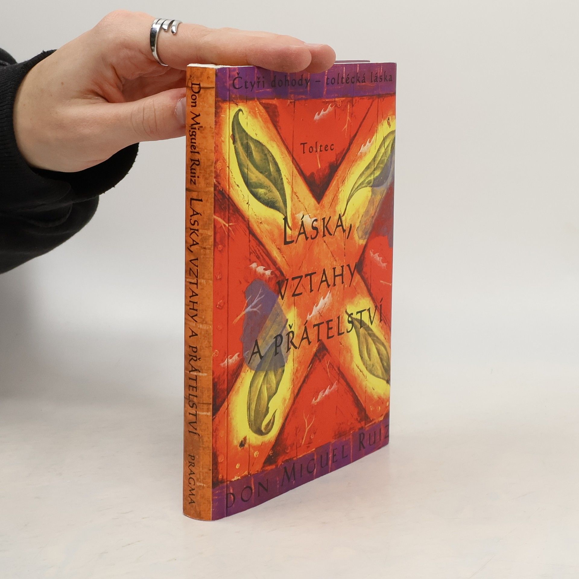 Don Miguel Ruiz Láska, vztahy a přátelství