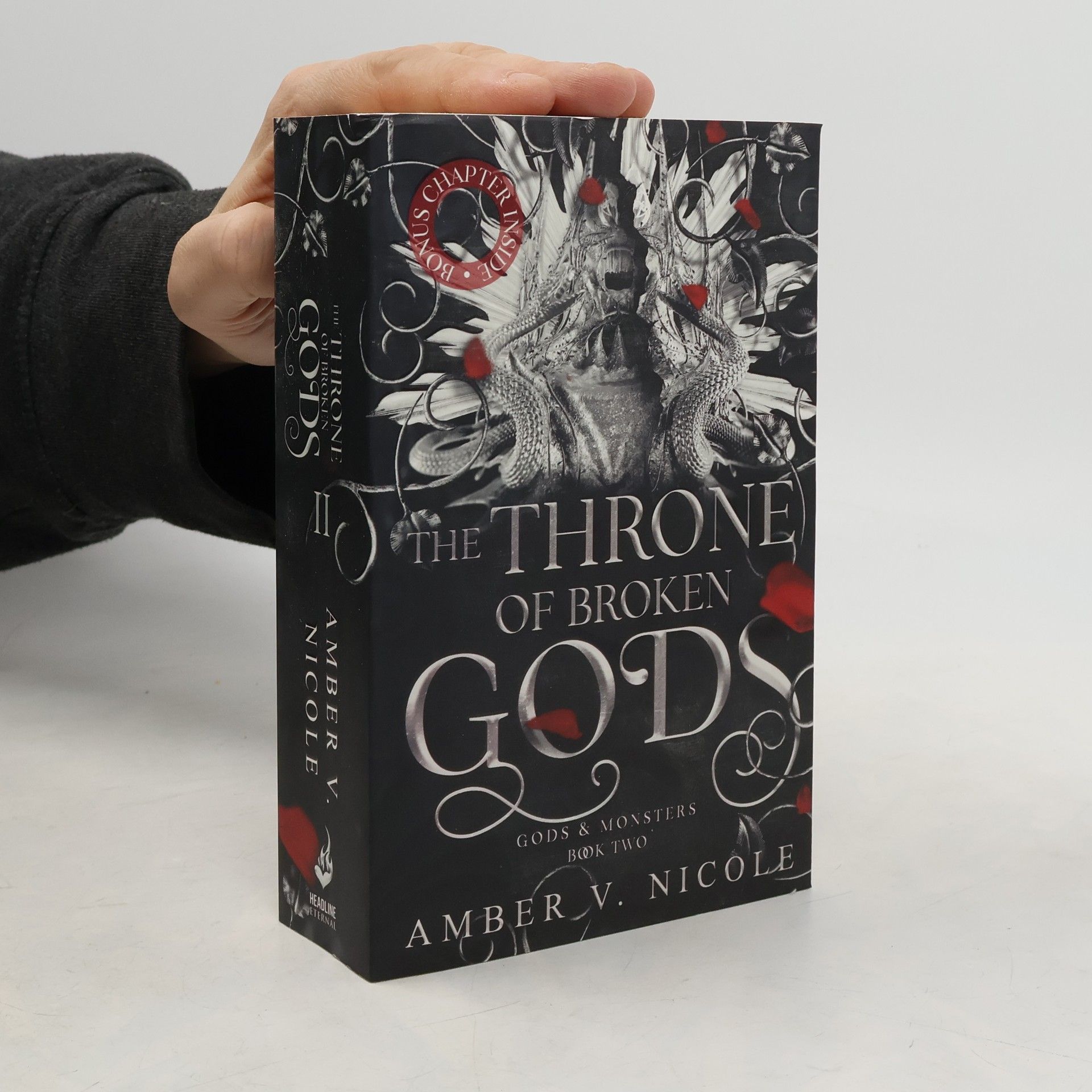 Amber V. Nicole The Throne of Broken Gods