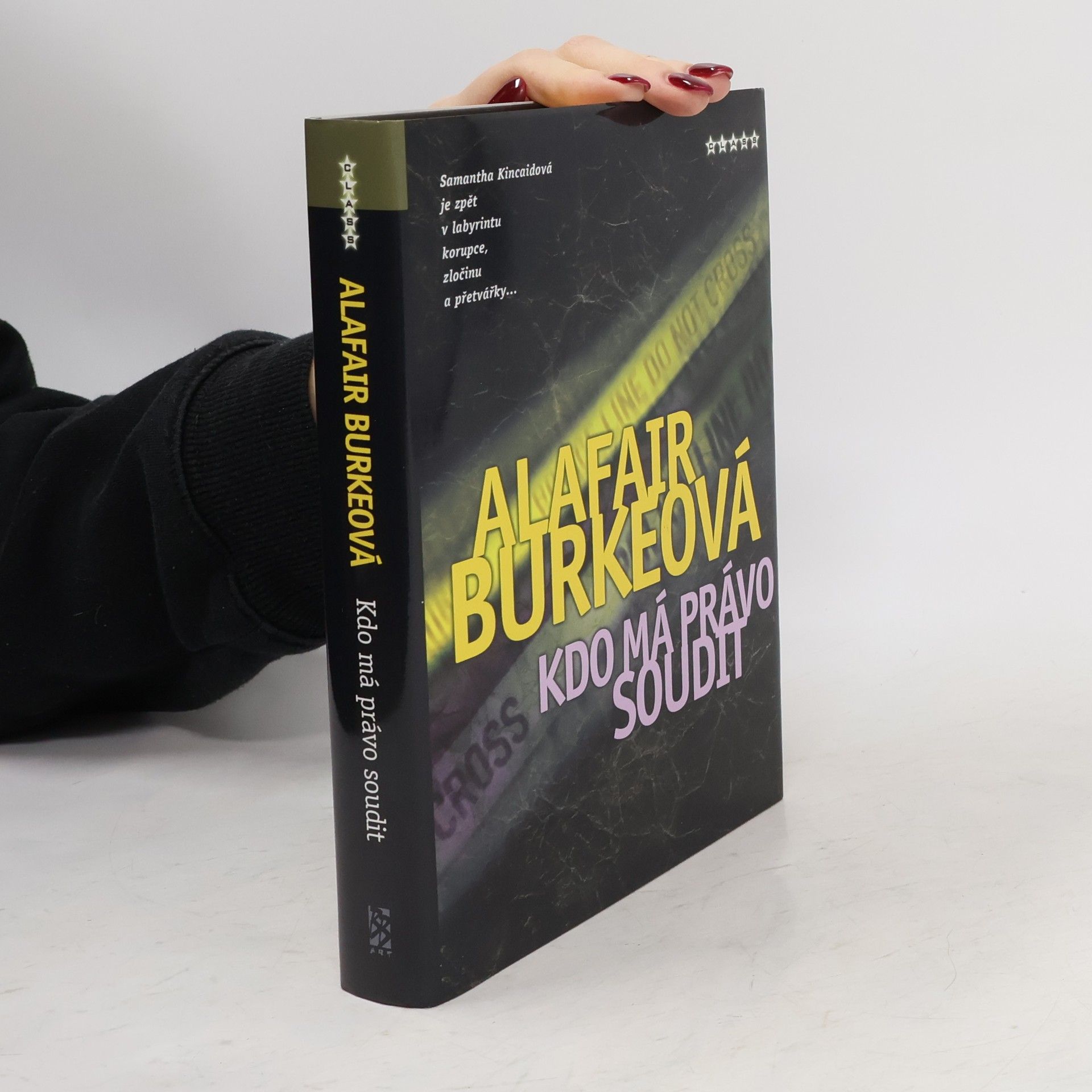 Alafair Burke Kdo má právo soudit