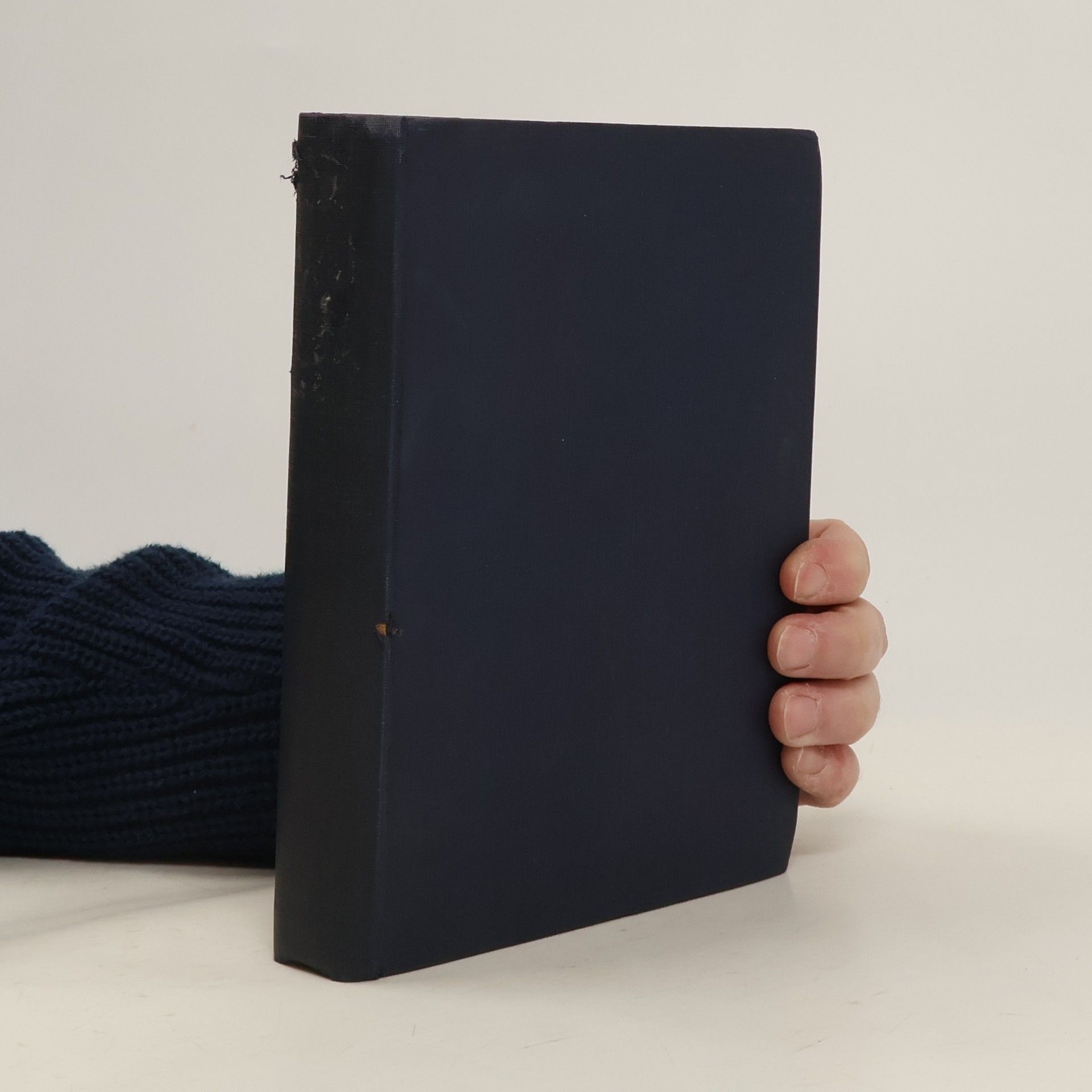 Mór Jókai Šílenci lásky