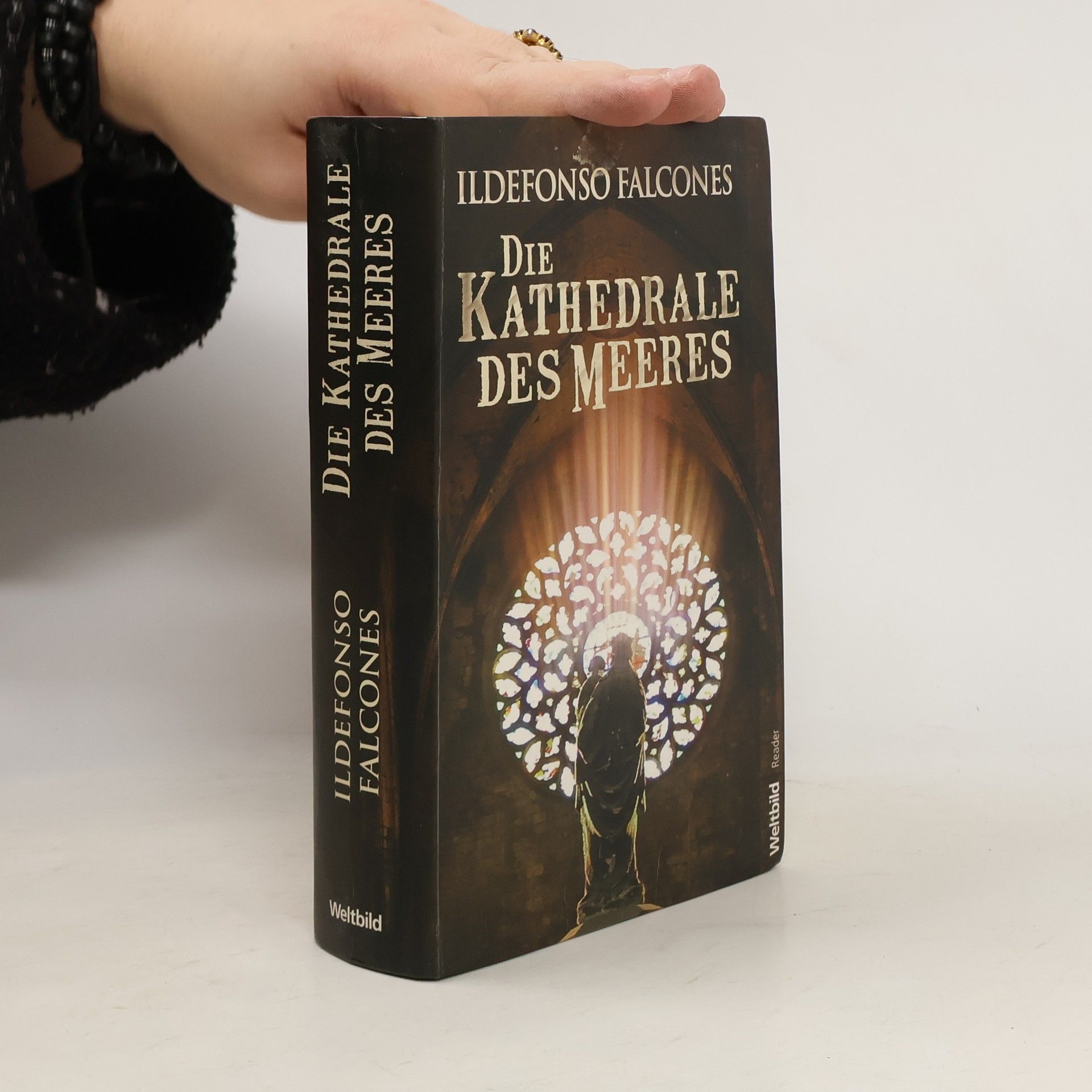 Ildefonso Falcones Die Kathedrale des Meeres