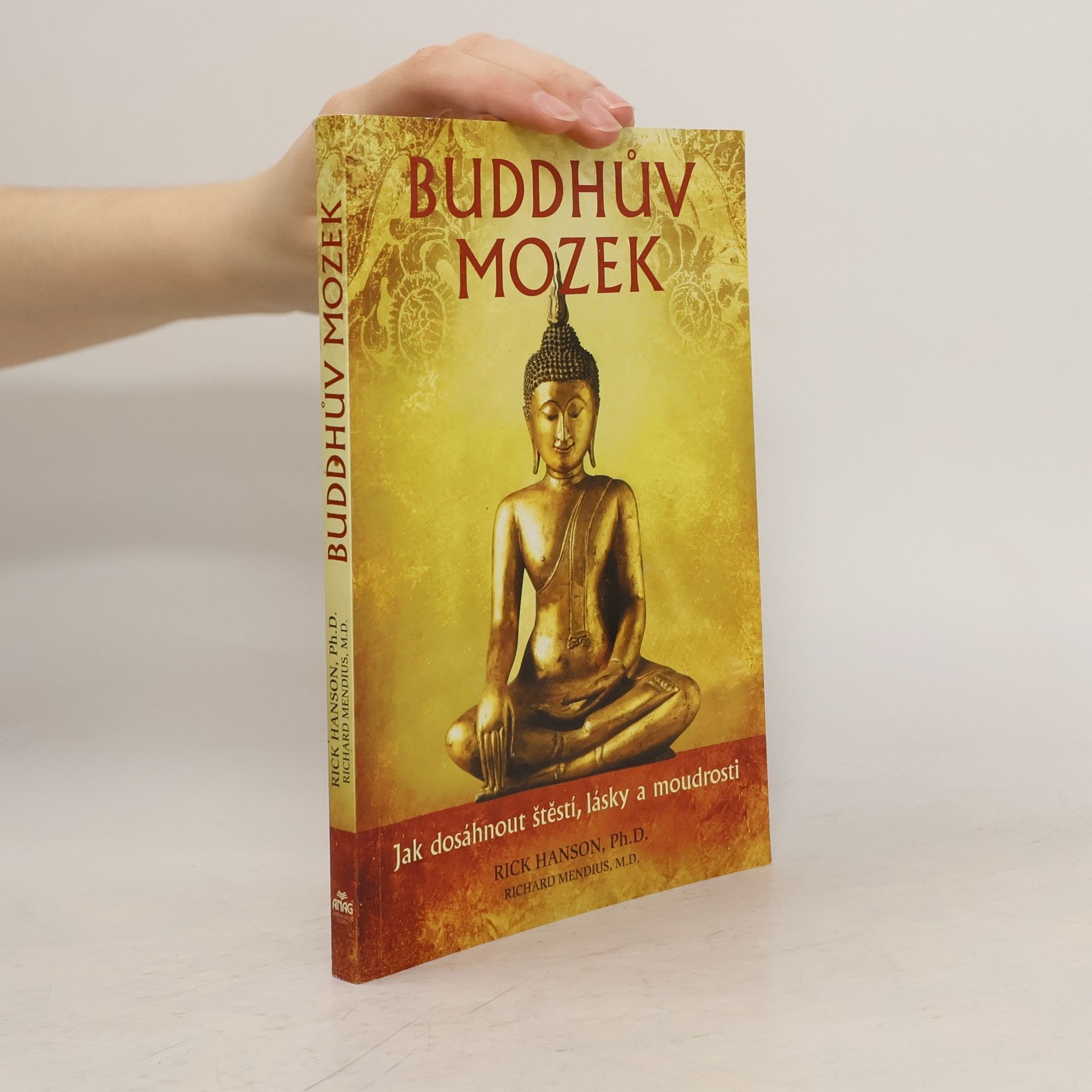 Rick Hanson Buddhův mozek: Jak dosáhnout štěstí, lásky a moudrosti