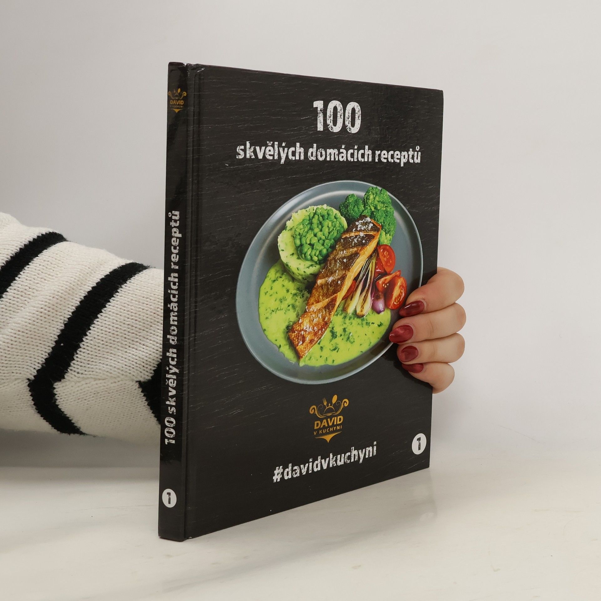 David Vonášek 100 skvělých domácích receptů