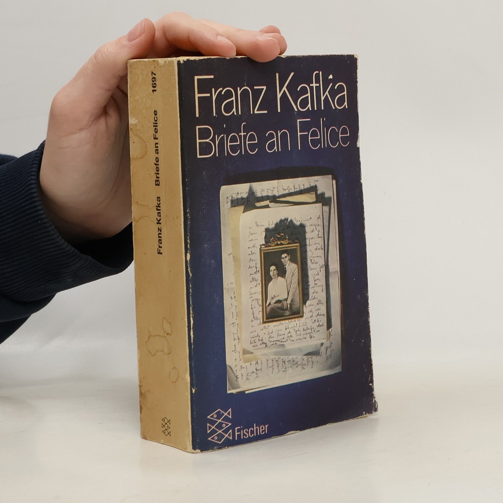 Franz Kafka Briefe an Felice