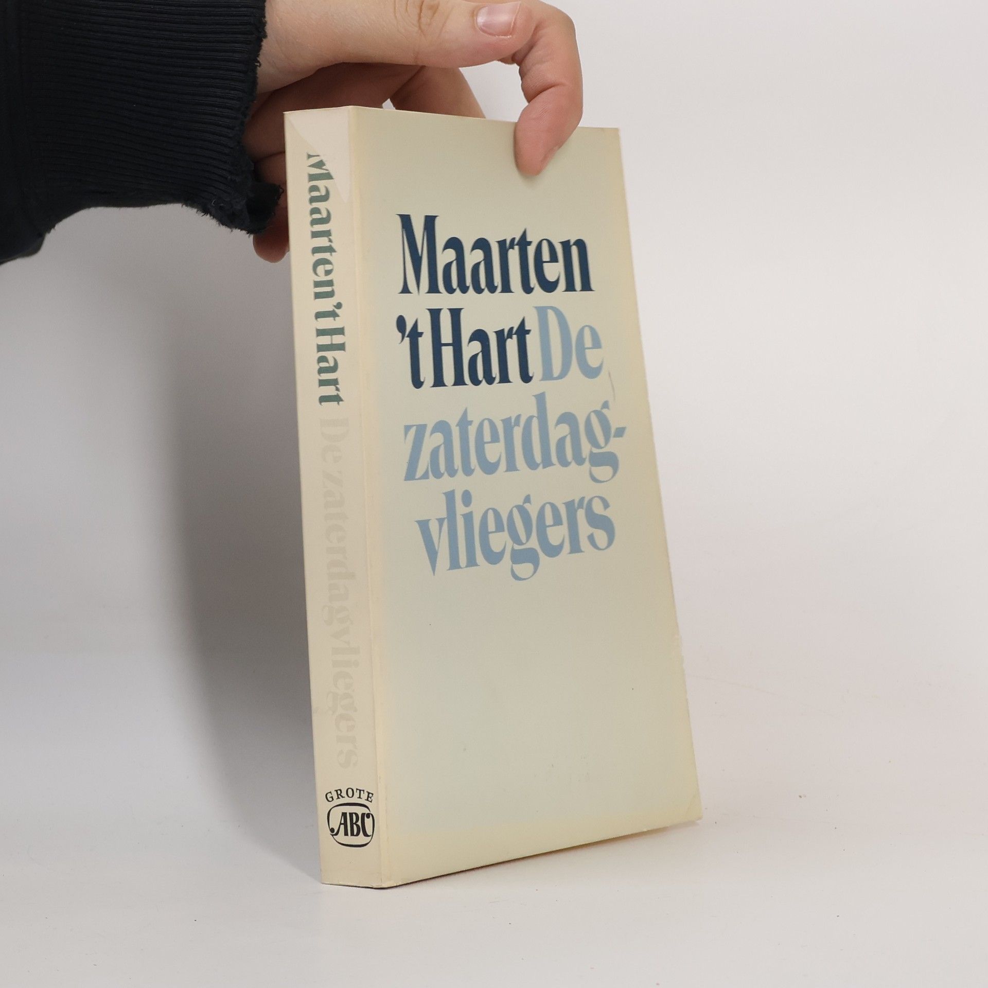 Maarten t. Hart De zaterdagsvliegers