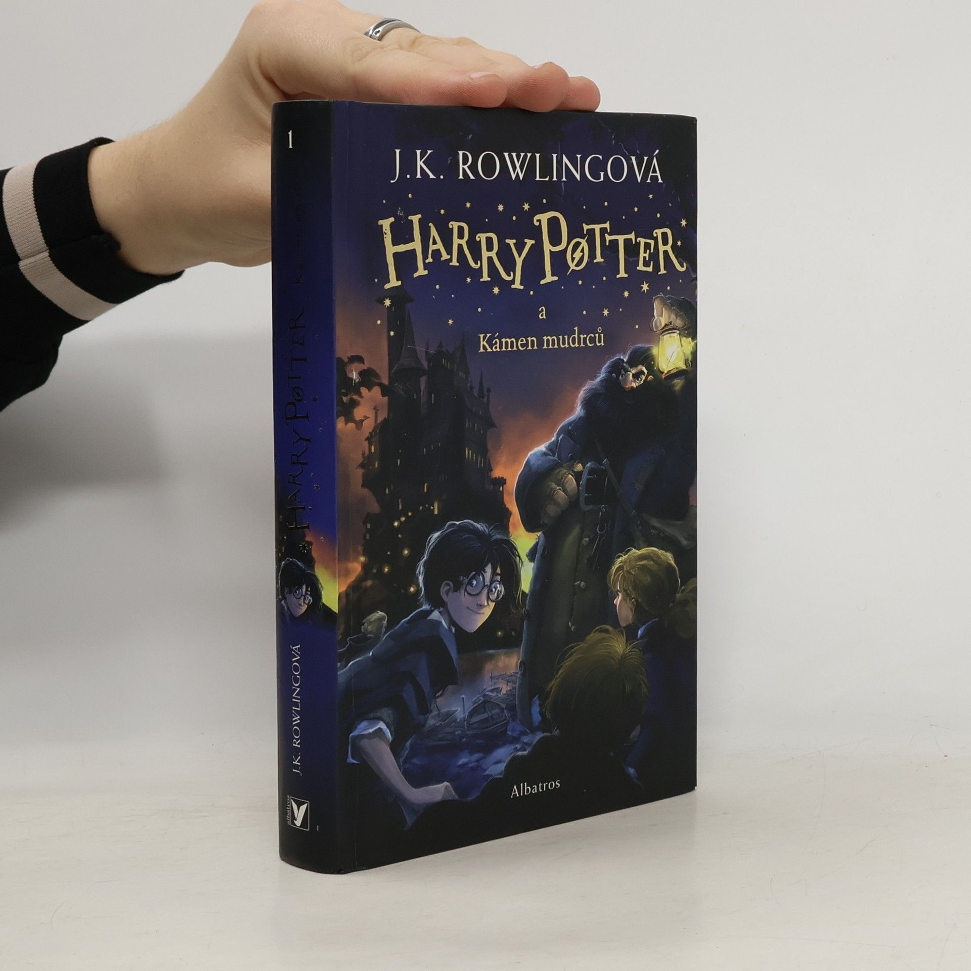Harry Potter a kámen mudrců