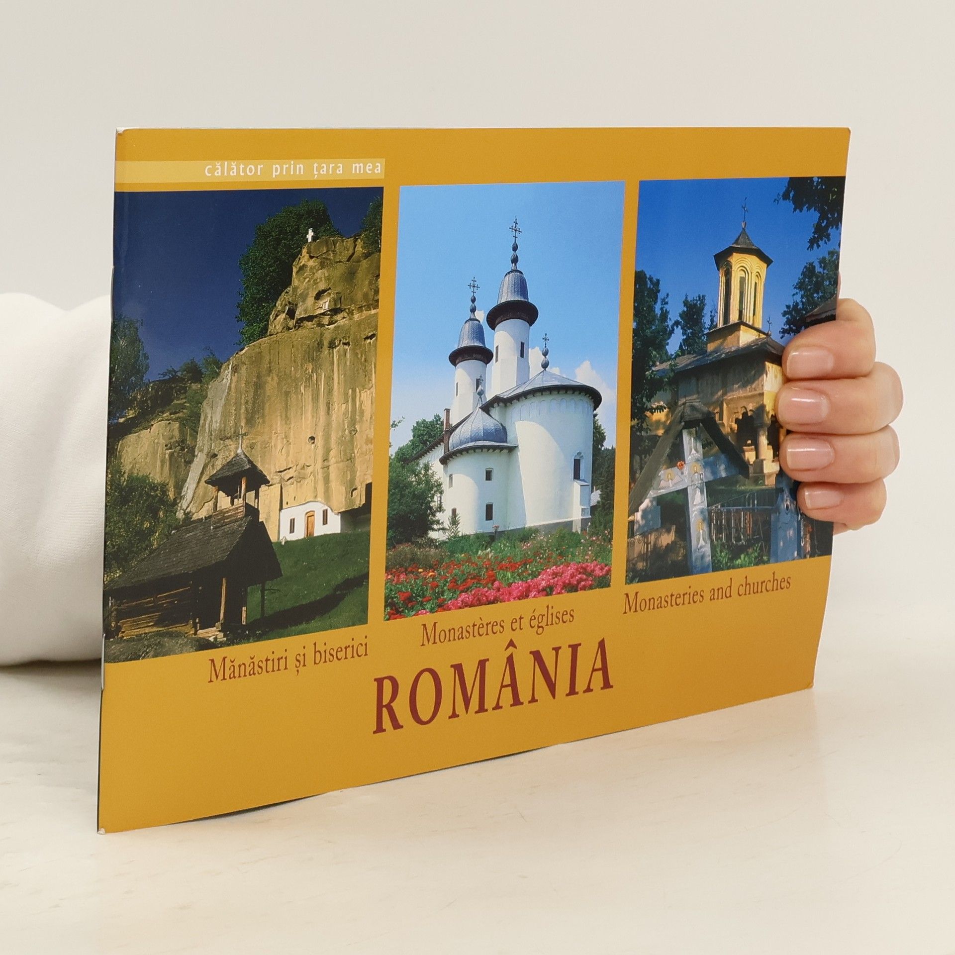 Mariana Dorina Pascaru România