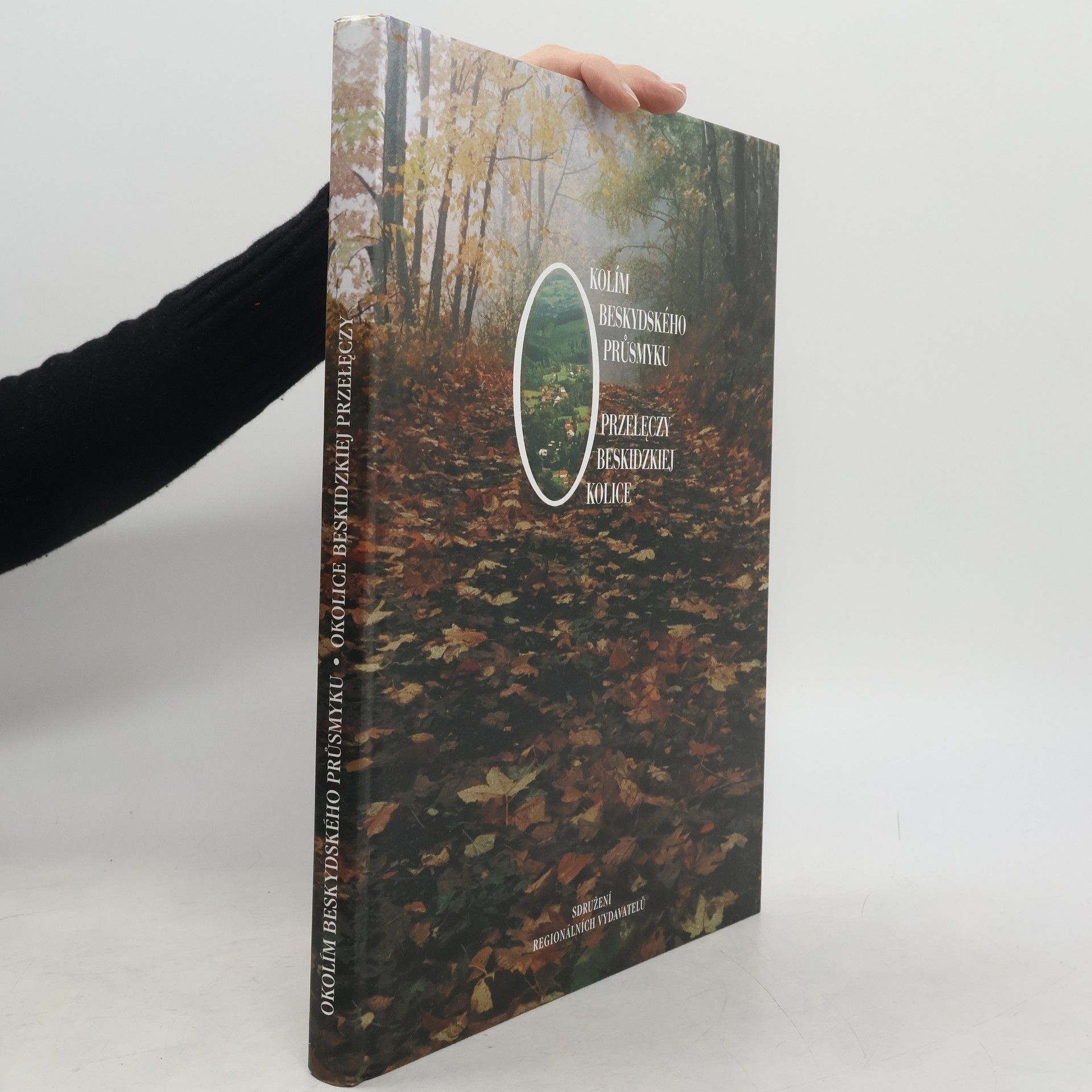 Irena Cichá Okolím beskydského průsmyku = Okolice beskidzkiej przełęczy