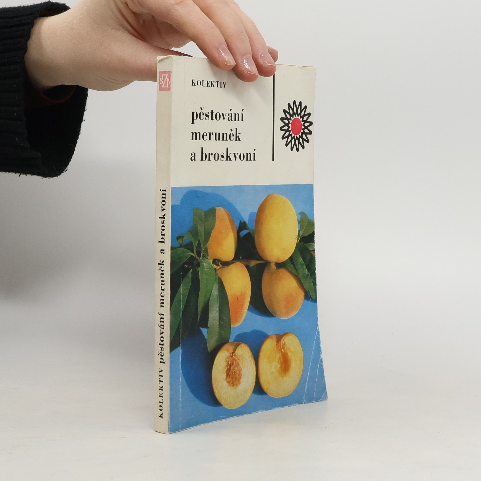 Autorenkollektiv Pěstování meruněk a broskvoní