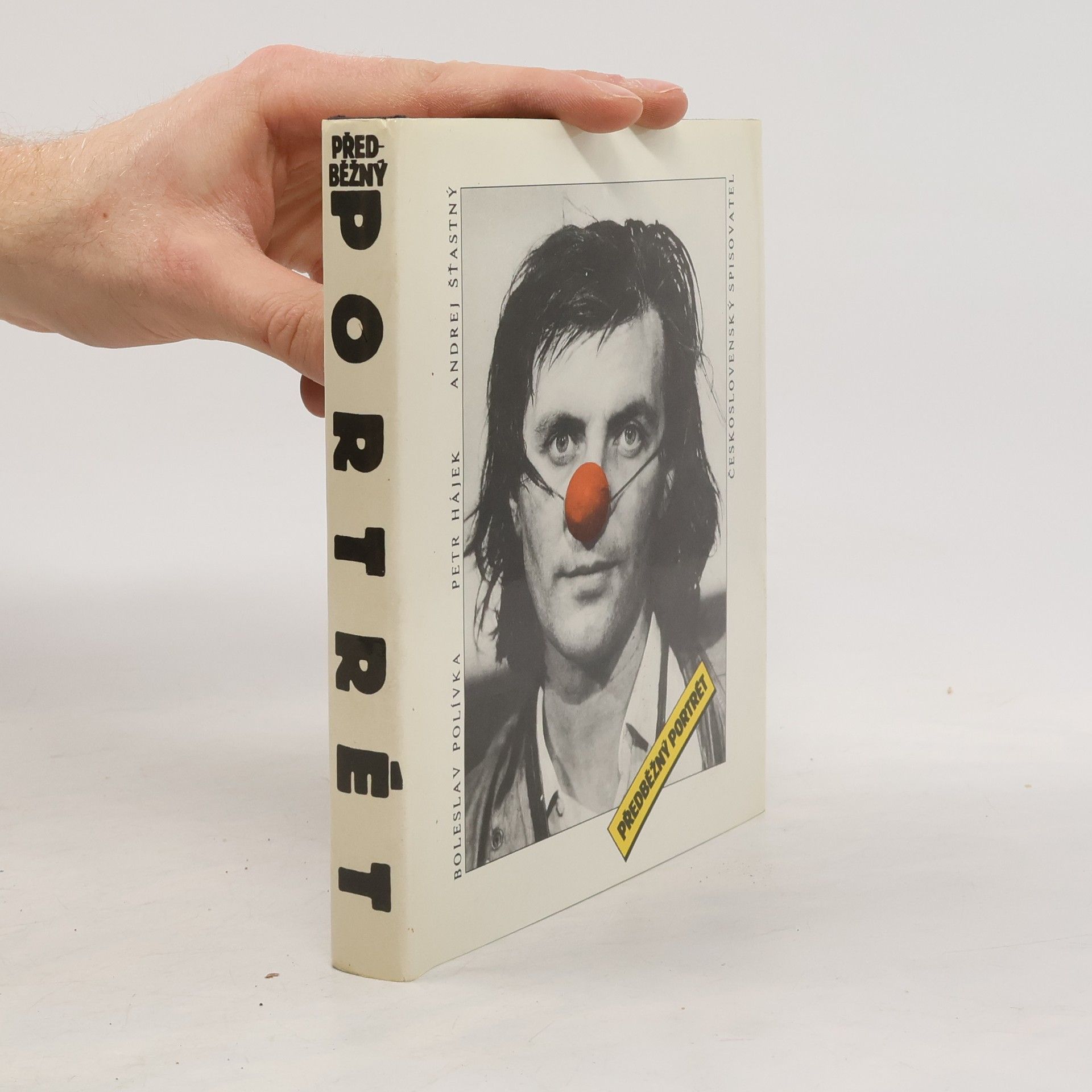 Předběžný portrét