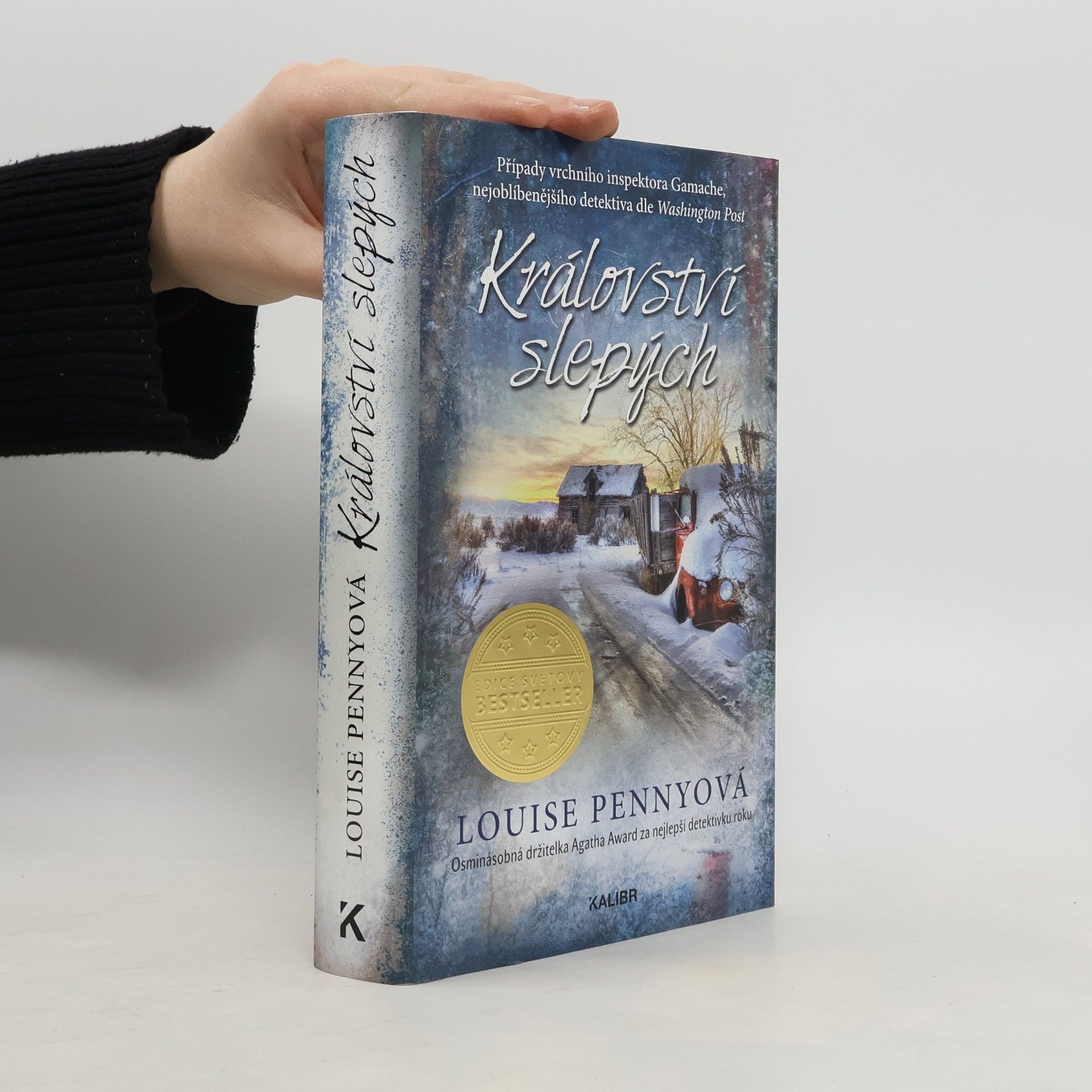 Louise Penny Království slepých