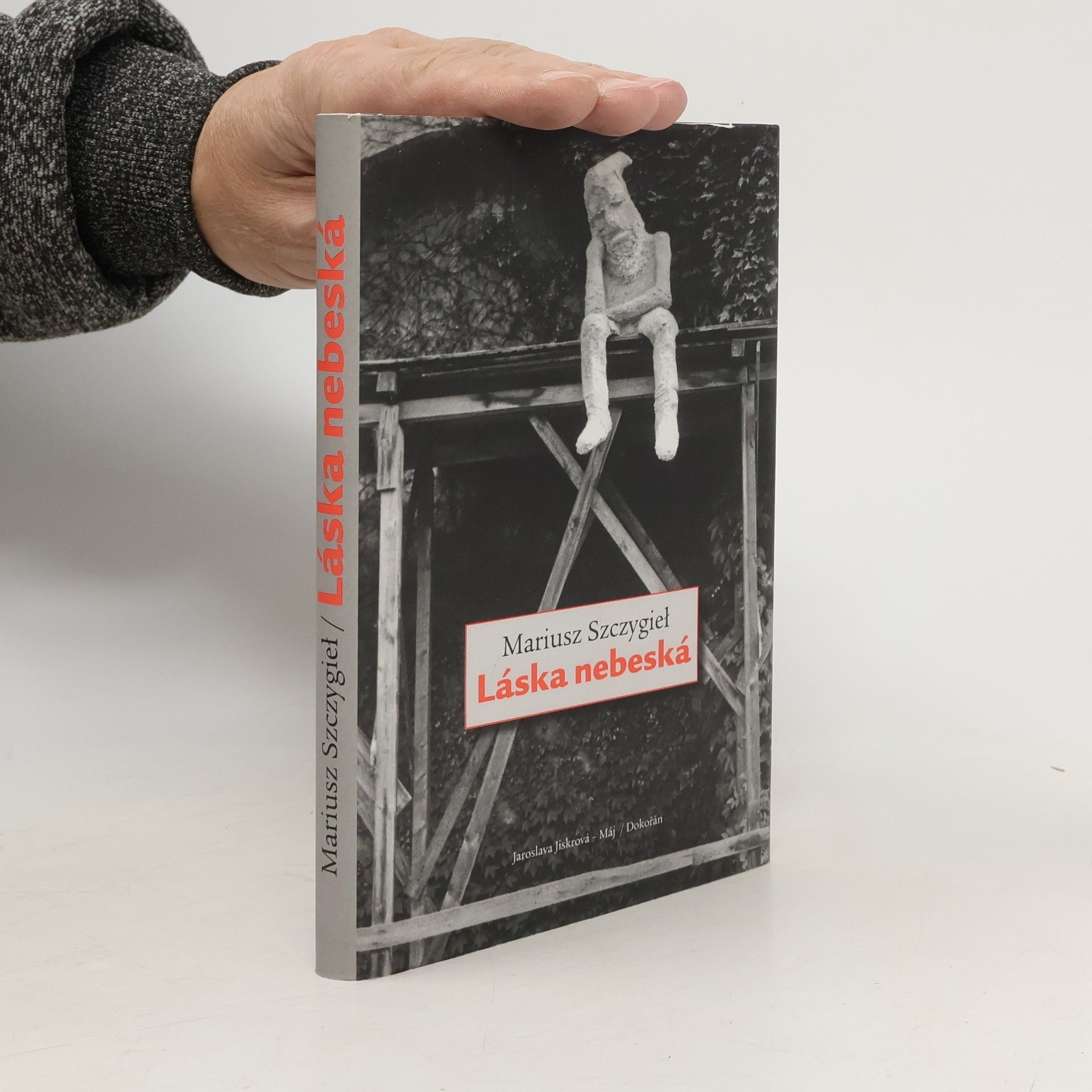 Mariusz Szczygieł Láska nebeská