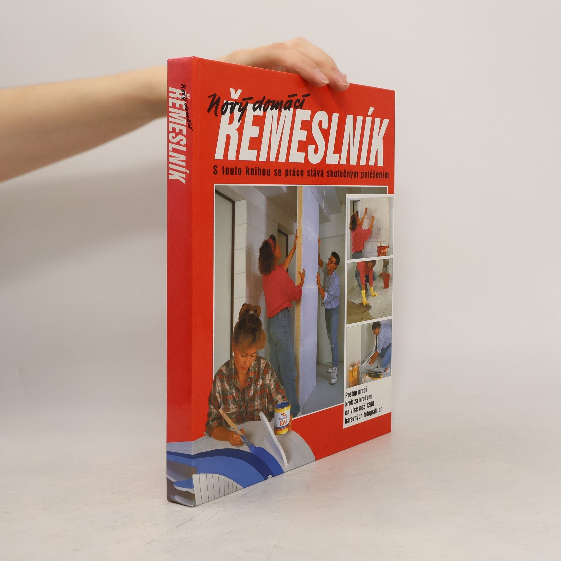 Dieter Rex Nový domácí řemeslník