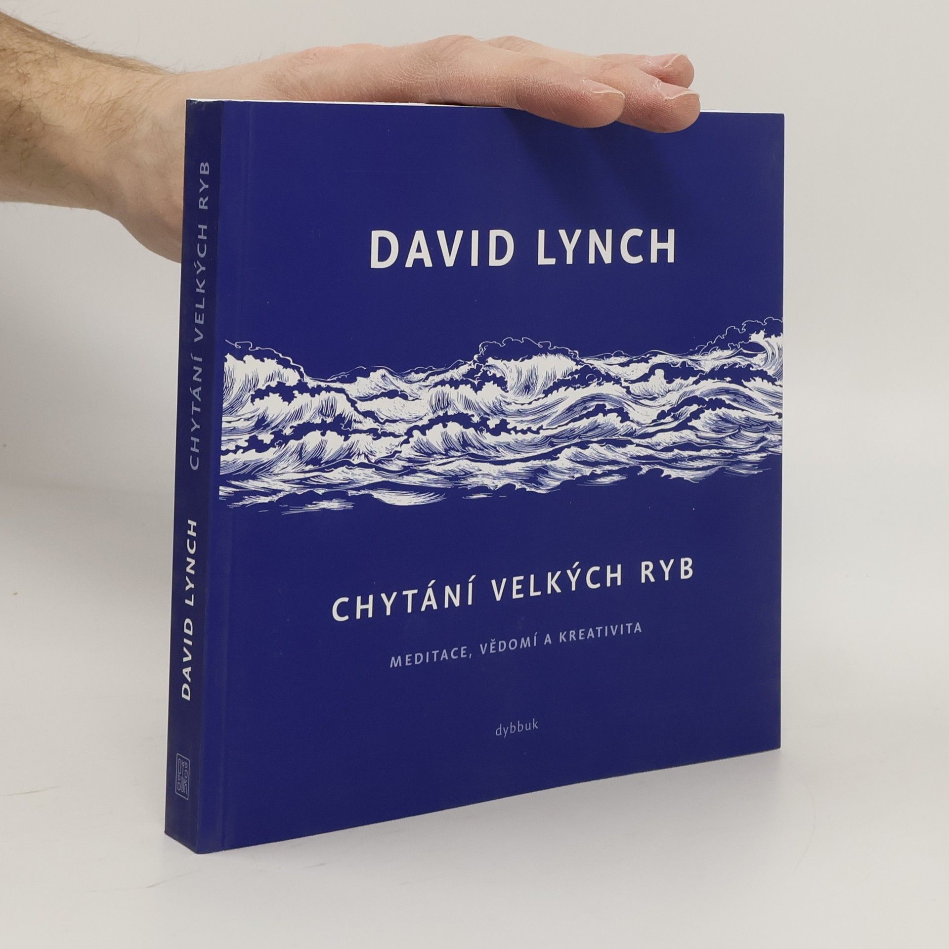 Chytání velkých ryb