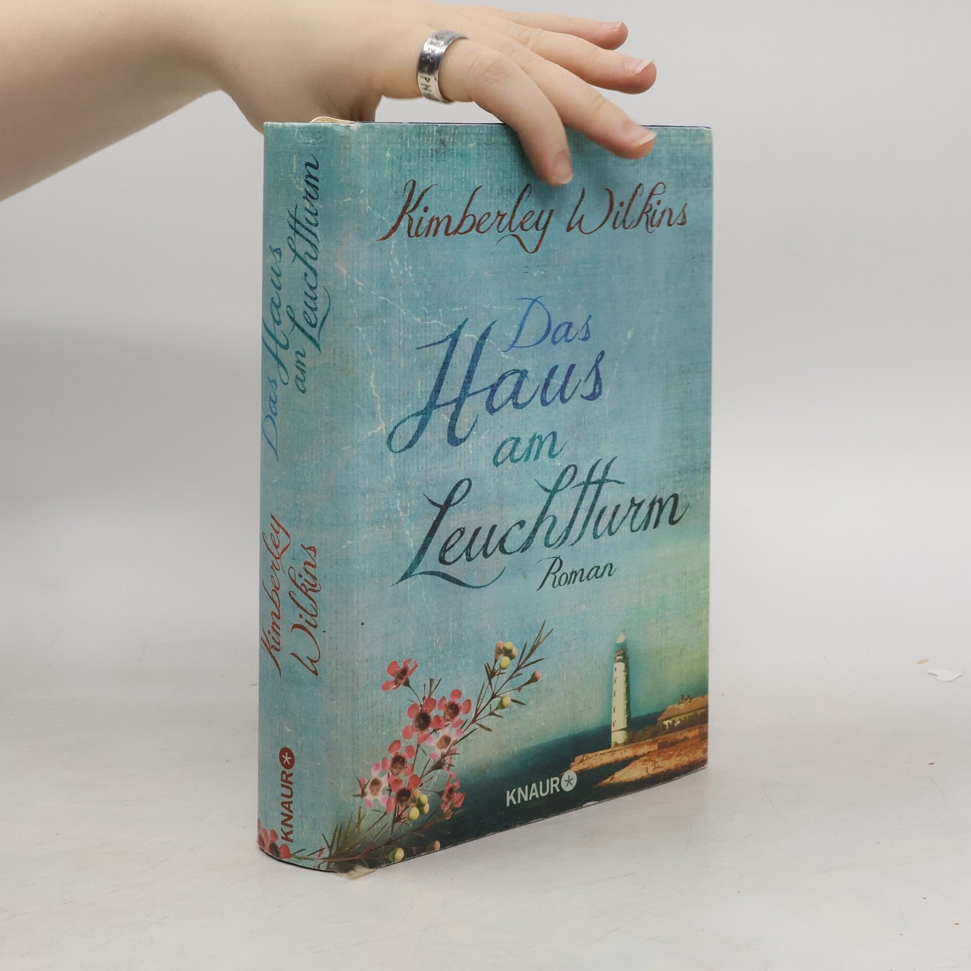Kimberley Wilkins Das Haus am Leuchtturm