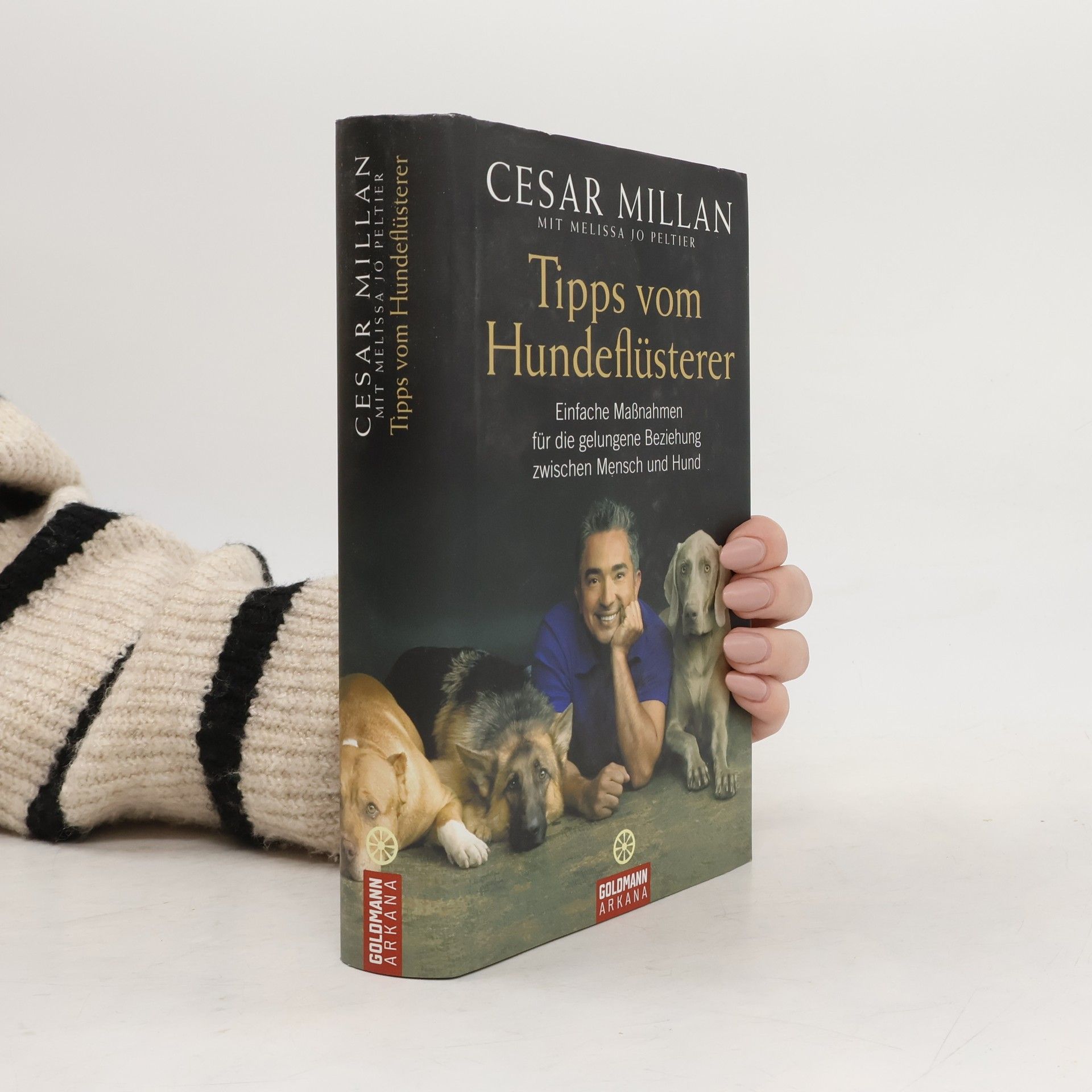 Cesar Millan Tipps vom Hundeflüsterer