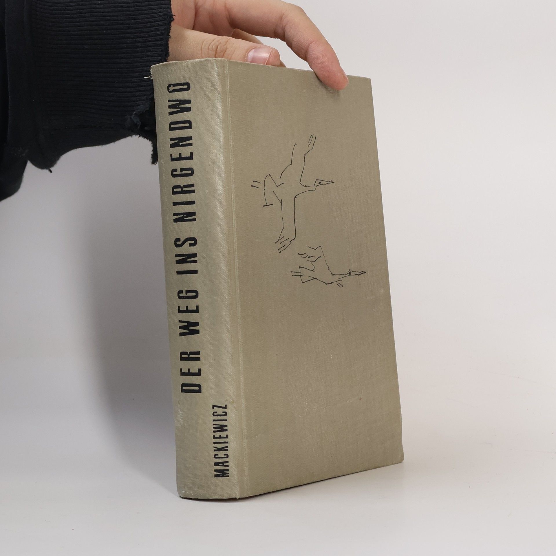 Der Weg ins Nirgendwo