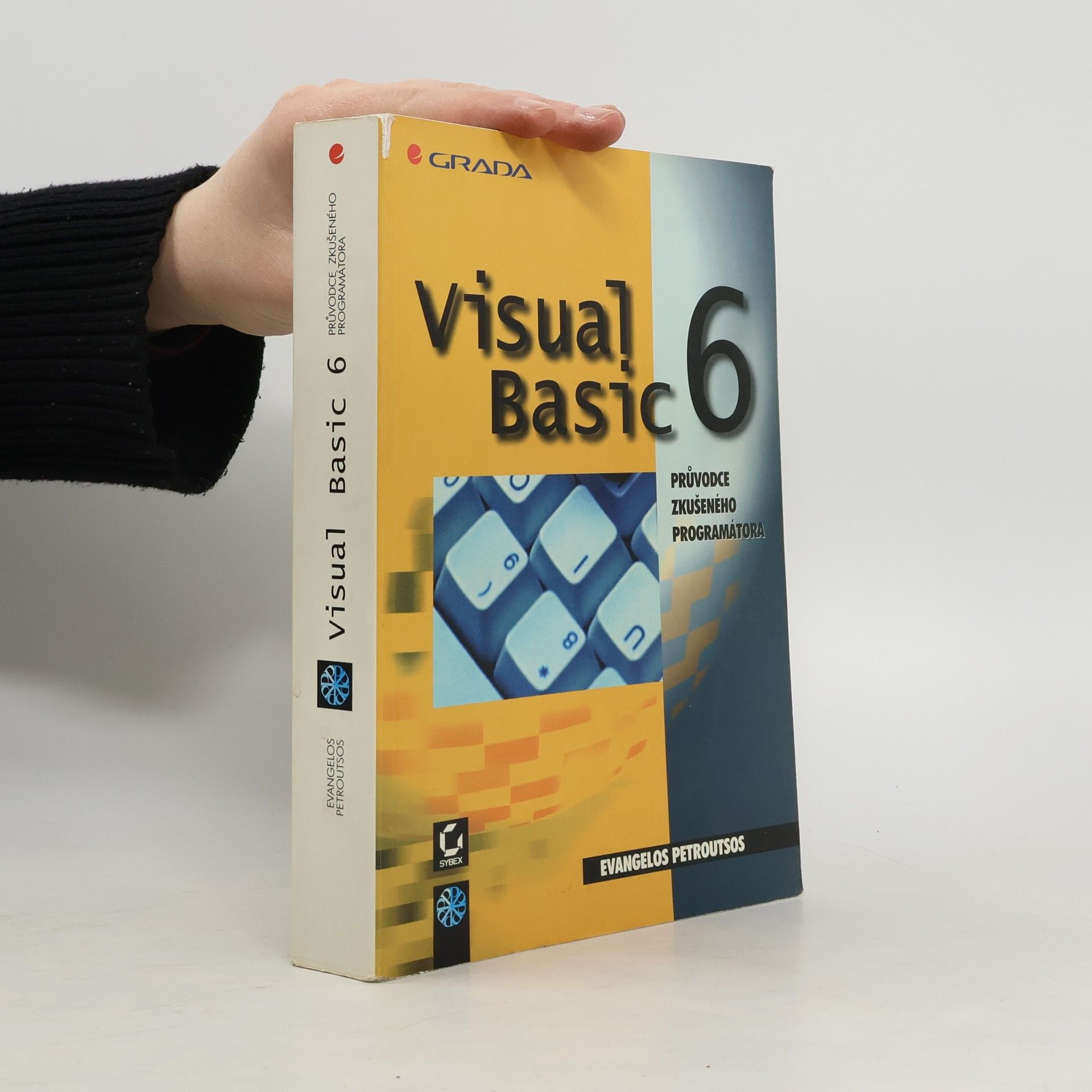 Visual Basic 6 : průvodce zkušeného programátora