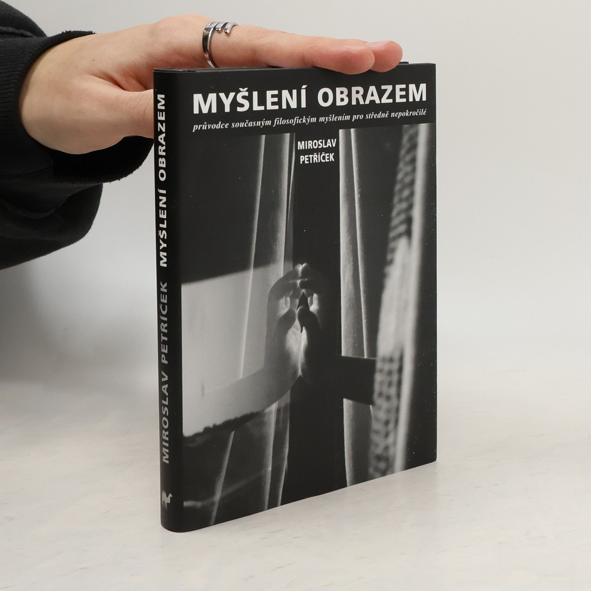 Miroslav Petříček jr. Myšlení obrazem: Průvodce současným filosofickým myšlením pro středně nepokročilé