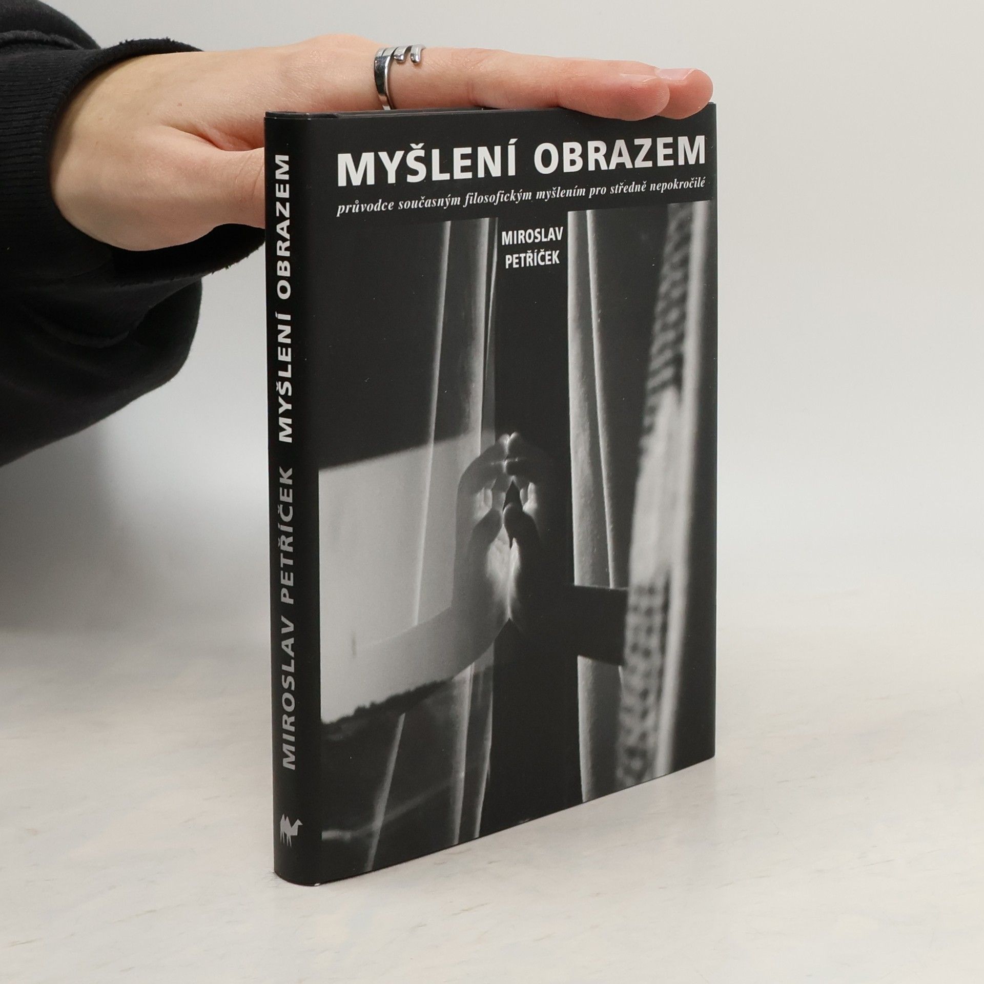 Miroslav Petříček Myšlení obrazem: Průvodce současným filosofickým myšlením pro středně nepokročilé