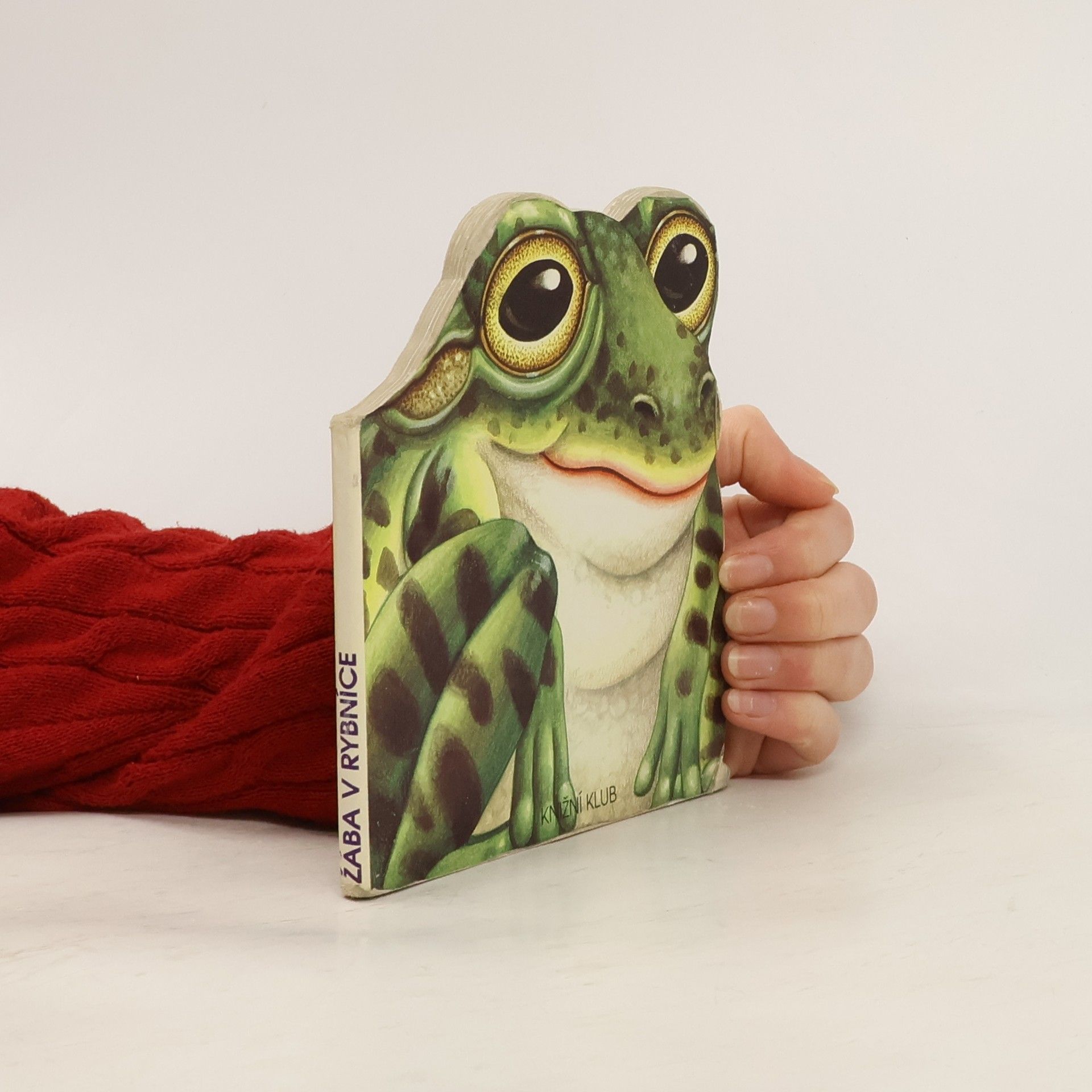 Lorella Rizzatti Žába v rybníce