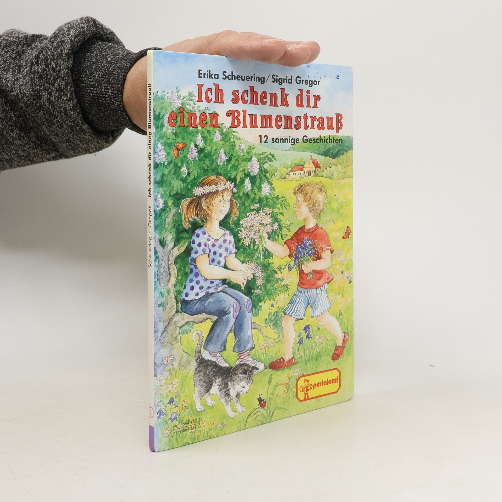 Erika Scheuering Ich schenk dir einen Blumenstrauß