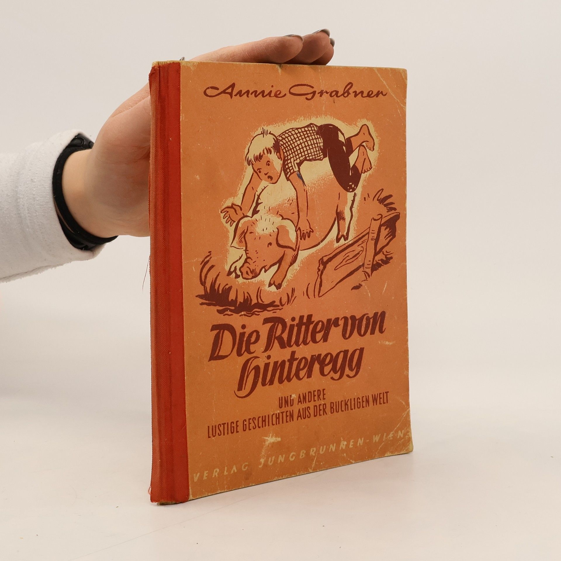 Die Ritter von Hinteregg