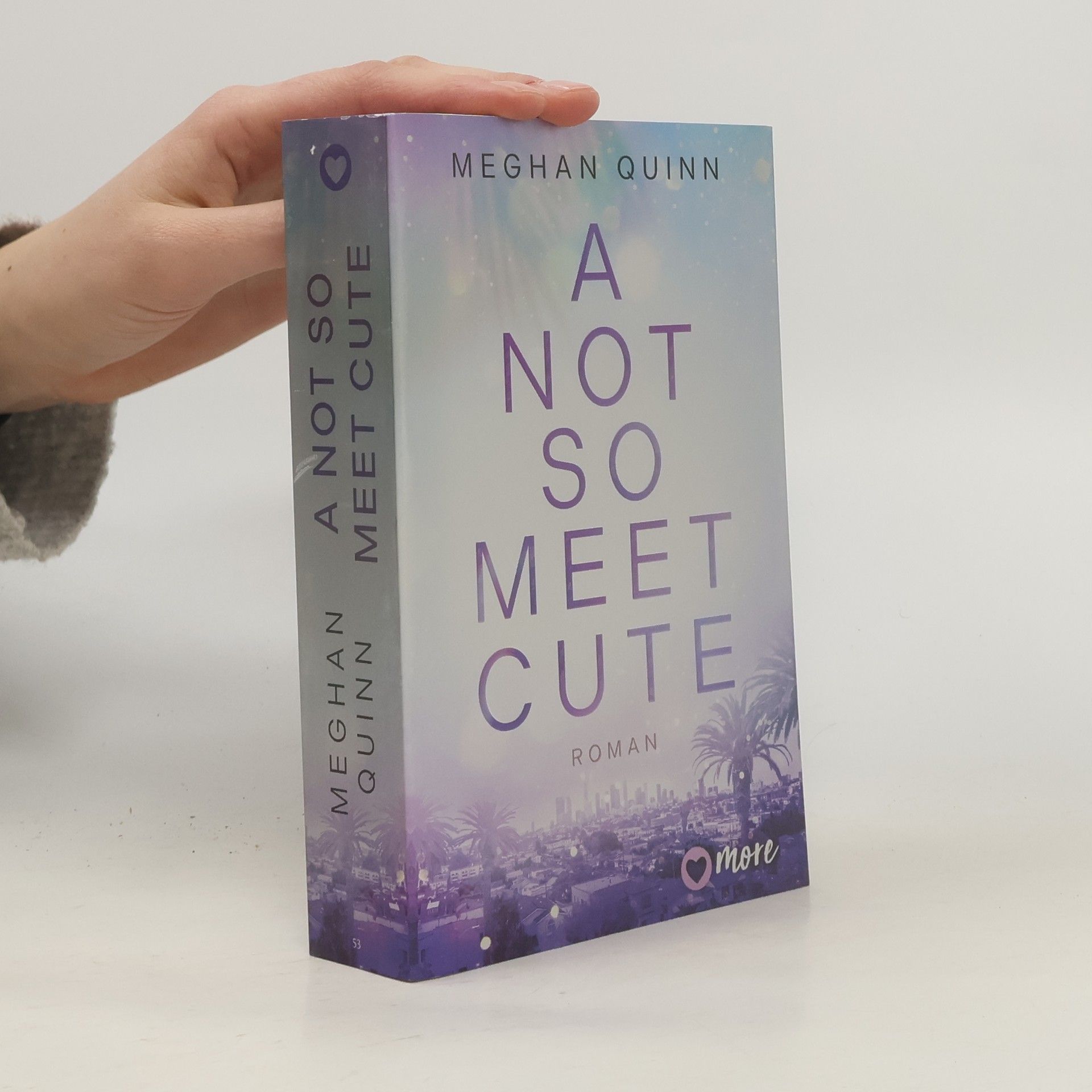 Meghan Quinn A Not So Meet Cute