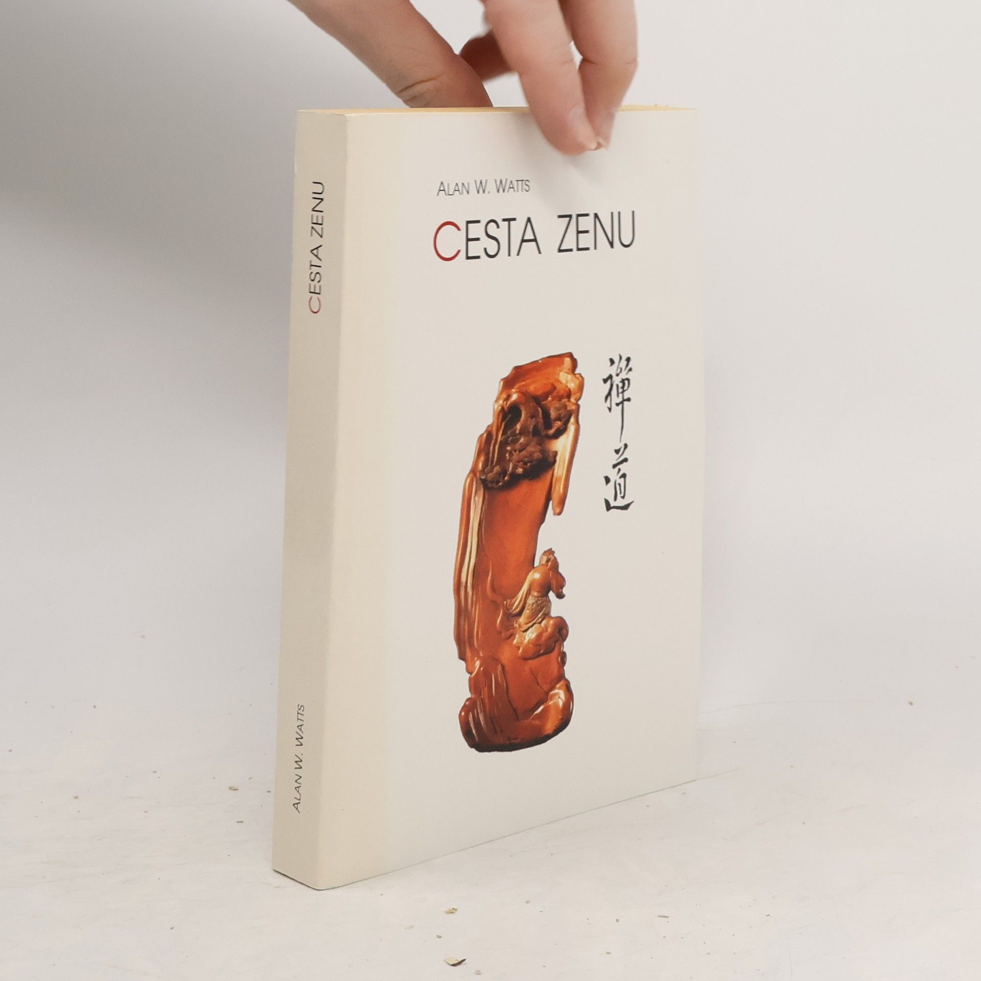 Alan Watts Cesta zenu